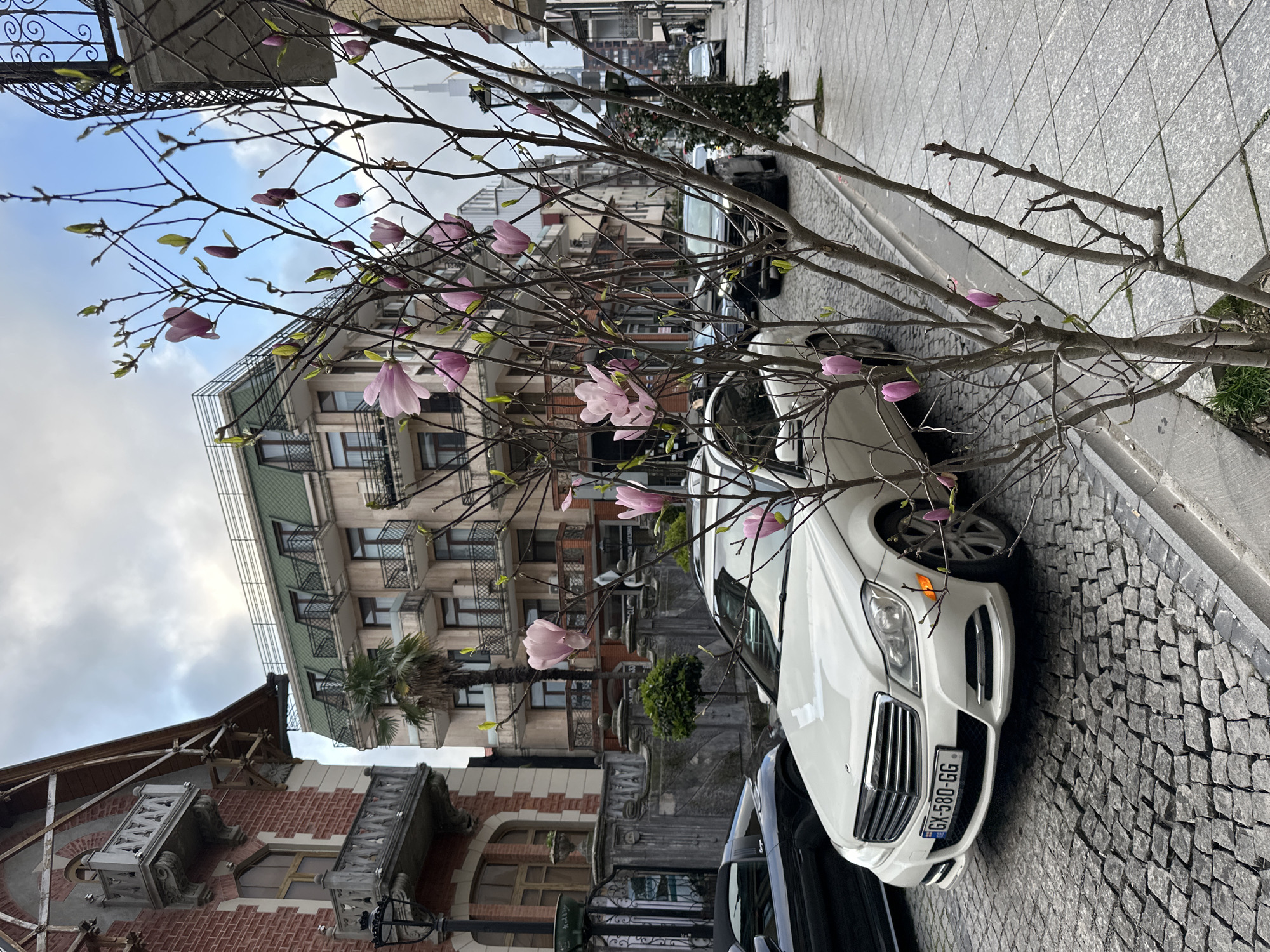 The image depicts a street scene in Batumi, Georgia. The foreground features a flowering tree with pink blossoms. Behind the tree is a white car parked on a cobblestone street. Further back, there is a row of buildings with varied architectural styles, including a building with a green roof and another with brickwork. A palm tree is also visible among the buildings. In the distance, more buildings and a cloudy sky can be seen. The image appears to be taken at street level. The license plate of the white car is identifiable as "GX-580-GG".