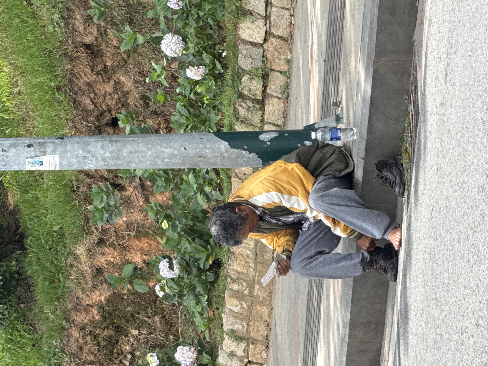 A middle-aged Asian man sits on a concrete curb next to a lamppost, reading a document. He is wearing a yellow and green jacket over a plaid shirt, gray pants, and brown boots. One boot is on his foot, while the other rests on the ground. His other foot is bare. A plastic bottle of water sits beside him on the curb. Behind him, a slope is covered with grass and dirt, with a stone wall at the base. A line of hydrangeas with white and pink blooms grows along the wall. The scene appears to be a public area in Da Lat, Vietnam, possibly a roadside park or walkway, characterized by the lush vegetation and the utilitarian street furniture.
