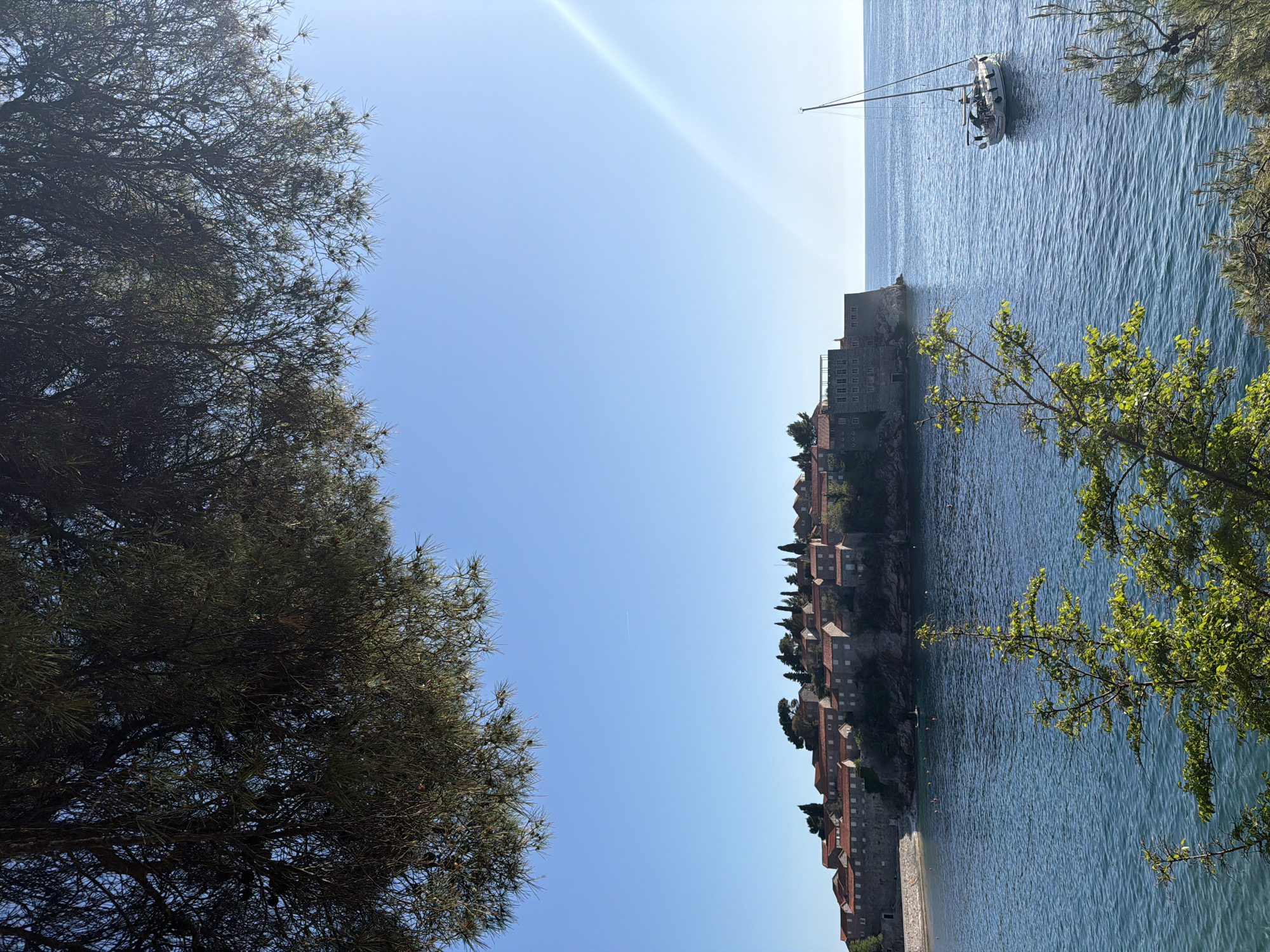 The image captures a view of Sveti Stefan, Montenegro, from an elevated perspective. The islet is connected to the mainland by a narrow isthmus. The architecture consists of tightly clustered buildings with terracotta roofs and stone walls. The islet is surrounded by clear, blue water. A white sailboat is anchored offshore. The foreground is framed by trees on either side. The sky is a clear, bright blue.