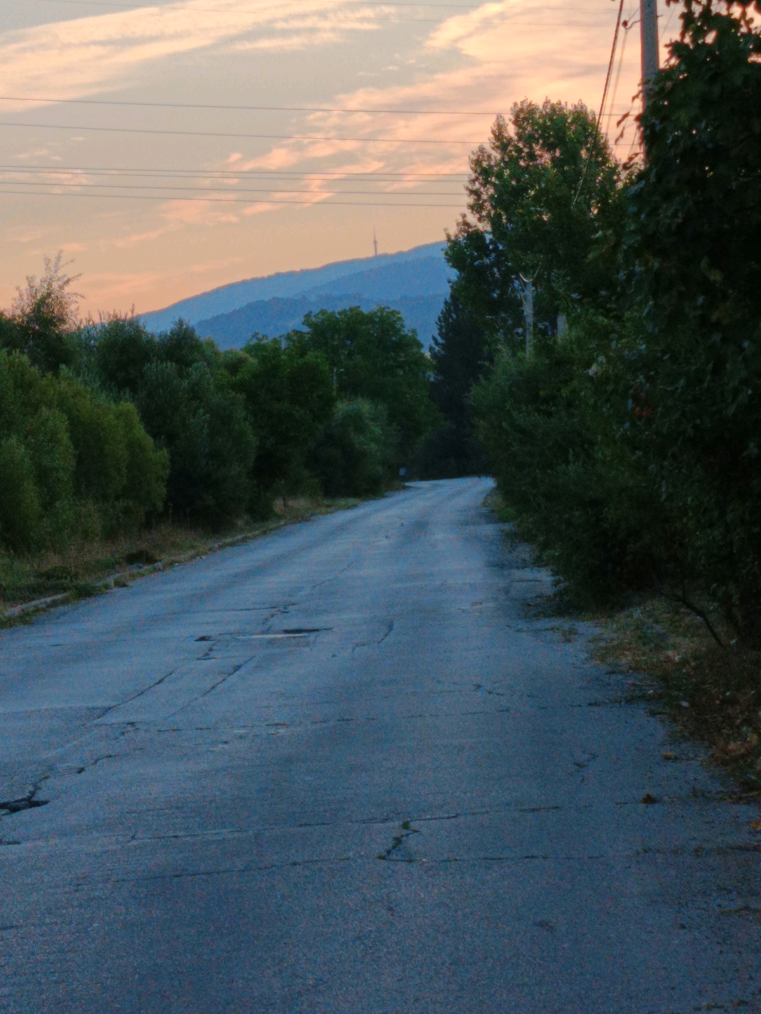 The image depicts a rural road leading towards a distant, hazy mountain range under a pale, overcast sky with hints of peach and pink. The road itself is asphalt, showing signs of wear with visible cracks and patches. Dense green foliage lines both sides of the road, with trees and bushes creating a natural barrier. In the distance, on top of the mountain, a thin, vertical structure resembling a radio tower or antenna is faintly visible. Power lines run horizontally across the sky, supported by a pole on the right side of the frame. The overall atmosphere is serene and slightly muted, characteristic of a late afternoon or early evening in a natural setting. This scene is located on the outskirts of Kralev Dol, Bulgaria.