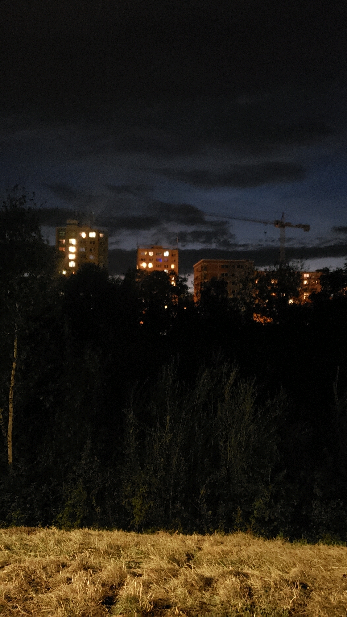 The image depicts a nighttime cityscape in Prešov, Slovakia, with a focus on residential buildings and surrounding vegetation. In the background, three multi-story apartment buildings are visible, their windows illuminated with warm yellow and blue light, suggesting occupancy. To the right of the buildings, a construction crane is faintly visible against the dark sky, indicating ongoing development or renovation in the area. In the foreground and midground, dense, dark trees and bushes obscure much of the lower portion of the scene, creating a strong contrast with the illuminated buildings. The very bottom of the image features dry, golden grass, possibly a field or verge. The overall atmosphere is subdued and quiet, characteristic of a residential area at night. The specific location within Prešov is not identifiable from the visual cues alone, but the presence of apartment blocks and a construction crane suggests a developed urban or suburban area. There are no people or discernible actions visible in the image.