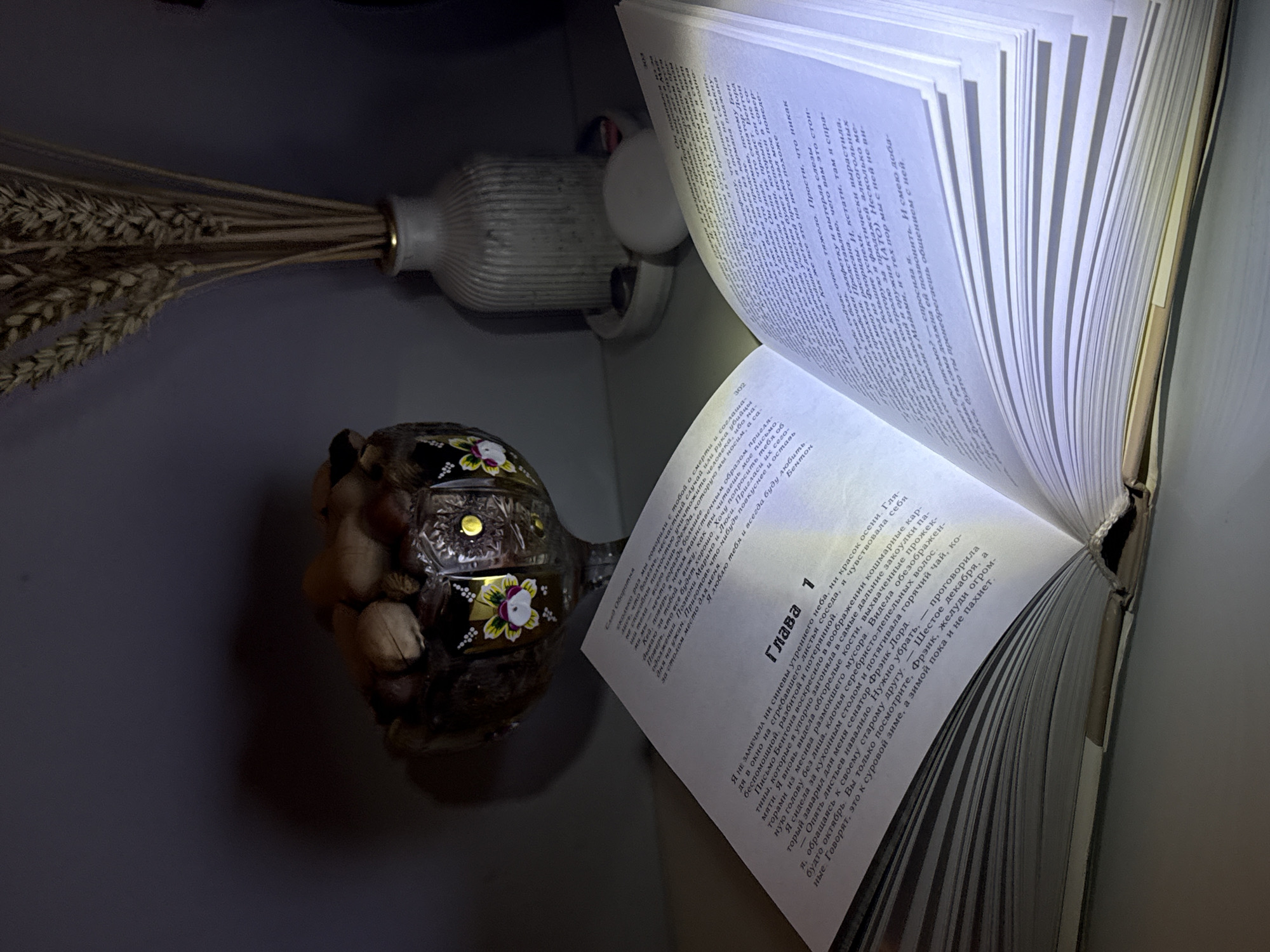 The image provides a top-down, slightly angled view of an indoor setting, focusing on an open book illuminated by a clip-on light. The overall scene is dark, suggesting nighttime or a dimly lit room.
In the upper left corner, a light-colored, possibly ceramic or plastic, ribbed vase holds a bundle of dried wheat stalks, which are fanned out. To the lower left, a decorative glass container shaped like a turtle, adorned with colorful floral patterns, is filled with various nuts, such as walnuts and hazelnuts.
The central and right parts of the image are dominated by a thick, open book, with its pages fanning outwards. A small, white, circular light, likely an LED reading light, is clipped to the top edge of the right-hand page, casting a bright, focused beam onto the text. The book is written in Russian, with "Глава 1" (Chapter 1) clearly visible as a heading on the right page, followed by narrative text. The left page also displays text and a page number, "302".
No people are present in the image. The arrangement of objects suggests a quiet moment of reading or contemplation.