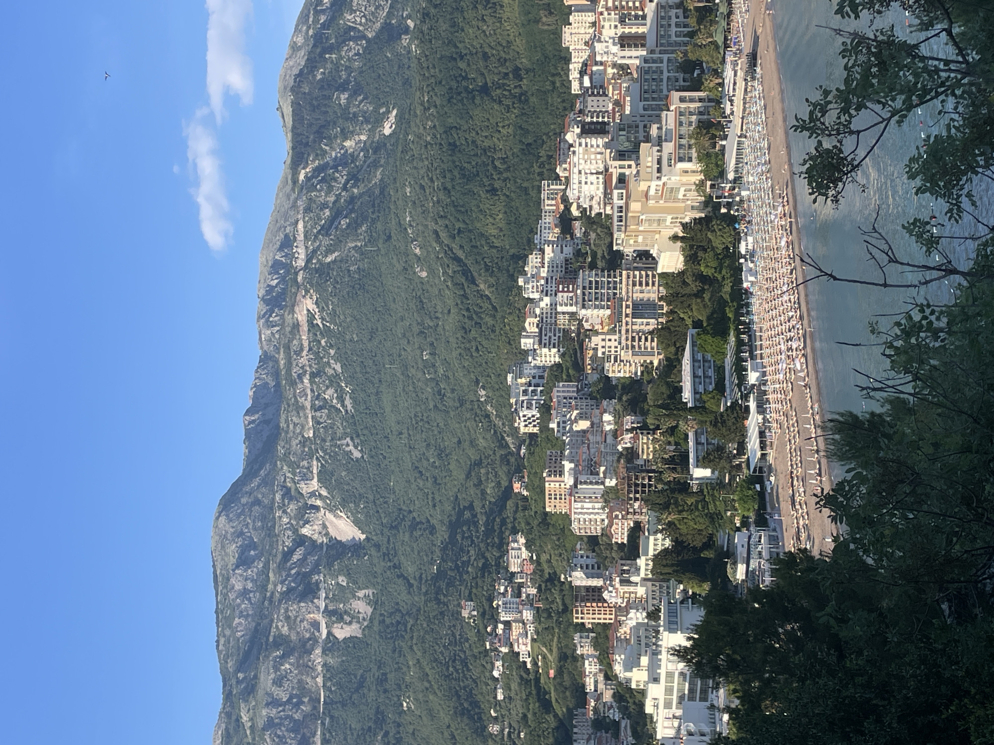 The image depicts a view in Boreti, Montenegro. In the foreground are trees obscuring some of the view. Adjacent to the trees, is a beach with rows of white sun loungers and umbrellas. Buildings are clustered along the coastline, extending up into the hills. A large mountain covered with green vegetation dominates the left side of the image. The sky is blue with a few clouds. A bird flies in the sky near the mountain.