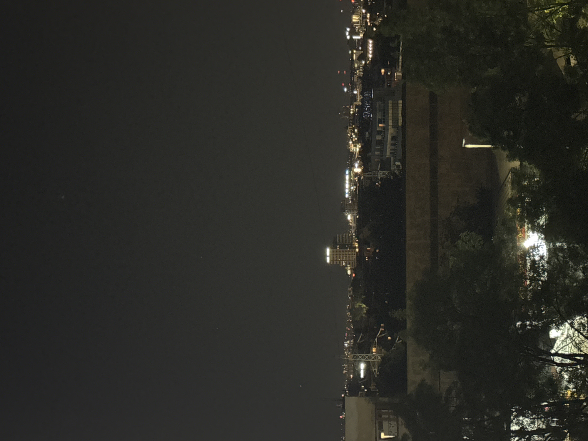 The image depicts a nighttime view of Sofia, Bulgaria. The city lights stretch into the distance under a dark sky. On the right side of the frame, trees partially obscure the view. A prominent building with illuminated windows stands out in the middle distance. In the foreground, architectural elements and additional vegetation are visible. The scene is still and appears to be taken from a high vantage point.