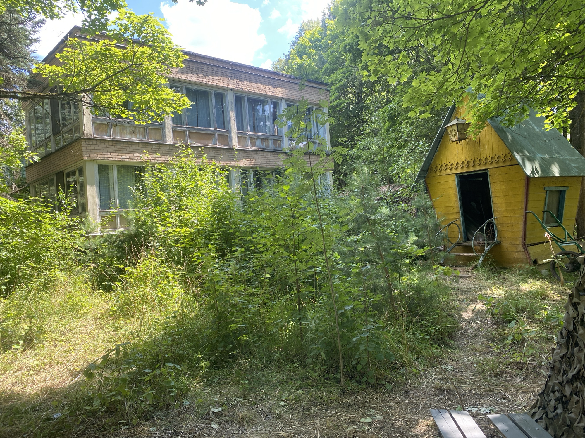 The image depicts an outdoor scene on a sunny day in the city of Shelkovo, Russia. In the foreground, a path made of dirt and dried grass leads towards two structures. To the right, a small, bright yellow wooden structure with a dark green roof resembles a shed or playhouse, featuring a decorative facade and an open doorway with what appear to be wagon wheels positioned on either side of the entrance. Further to the left and slightly behind the yellow structure stands a larger, multi-story building constructed of light brown brick. This building has numerous windows, many of which appear to be in disrepair, with some glass panes missing or broken. The structures and the surrounding area are overgrown with dense green vegetation, including trees, bushes, and tall grass, indicating a natural or semi-abandoned environment. Sunlight filters through the leafy canopy, casting dappled shadows on the ground. The overall impression is one of a somewhat neglected, naturalized setting in an urban or suburban area of Shelkovo.