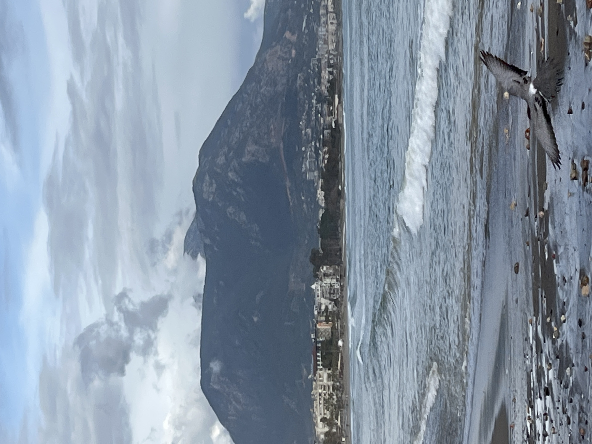 The image shows a coastal view in Alanya, Turkey, featuring a mountain range adjacent to the shoreline. Buildings are visible along the base of the mountain, indicating urban development. The sea is visible, with waves breaking near the shore. A bird is captured mid-flight. The sky is overcast with visible cloud formations. The beach consists of sand and pebbles.
