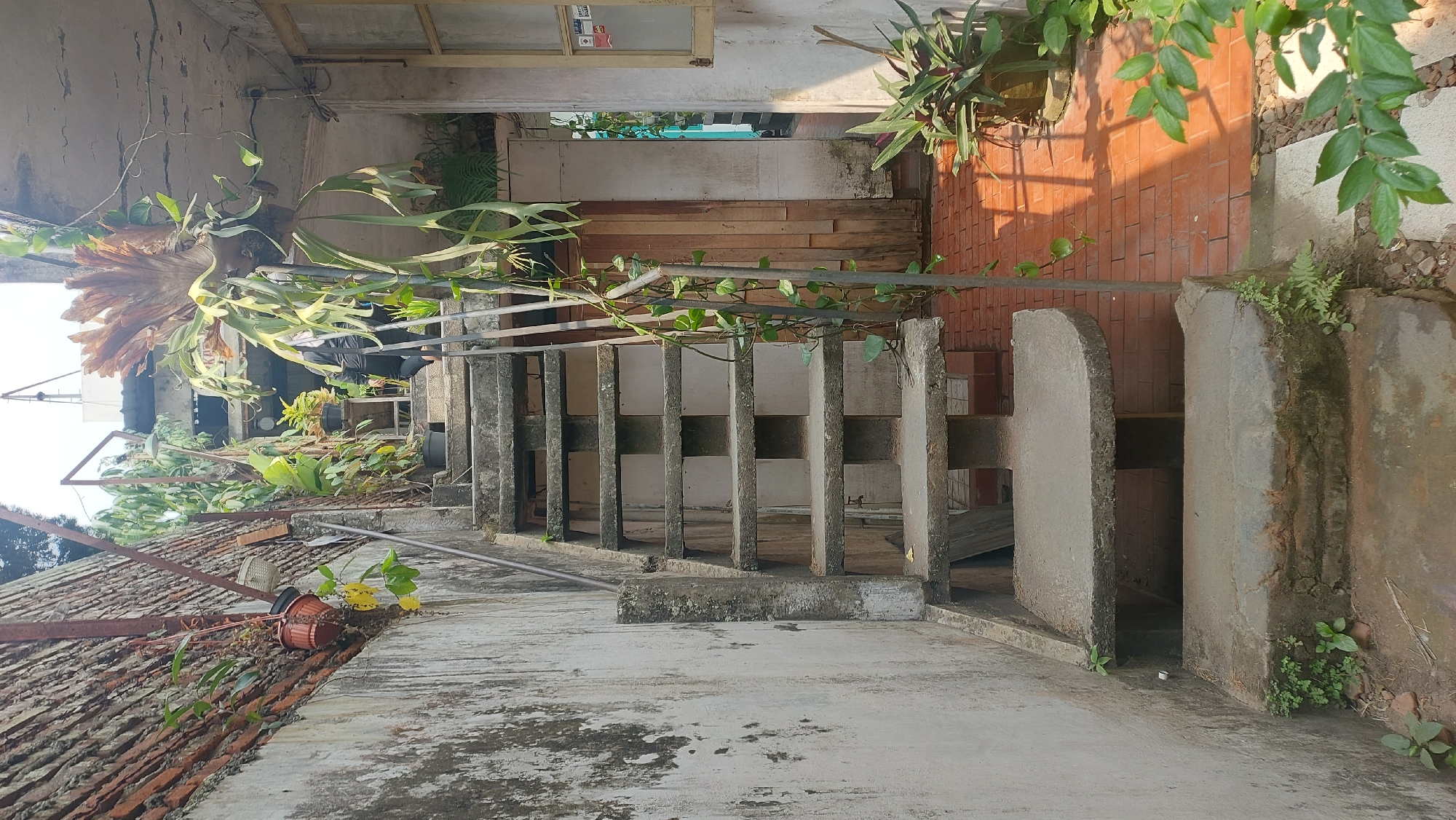 A downward shot of a concrete staircase in an outdoor alleyway in Malang, Indonesia. The staircase is made of individual concrete slabs, with some gaps in between. The wall to the left of the stairs is made of rough concrete and has some moss and vines growing on it. To the right of the stairs, there is a brick floor and some plants in pots. A person is partially visible walking down the stairs in the background. The lighting suggests it is daytime, with shadows cast on the ground. The overall scene appears to be an aging, somewhat neglected urban space adorned with plants.