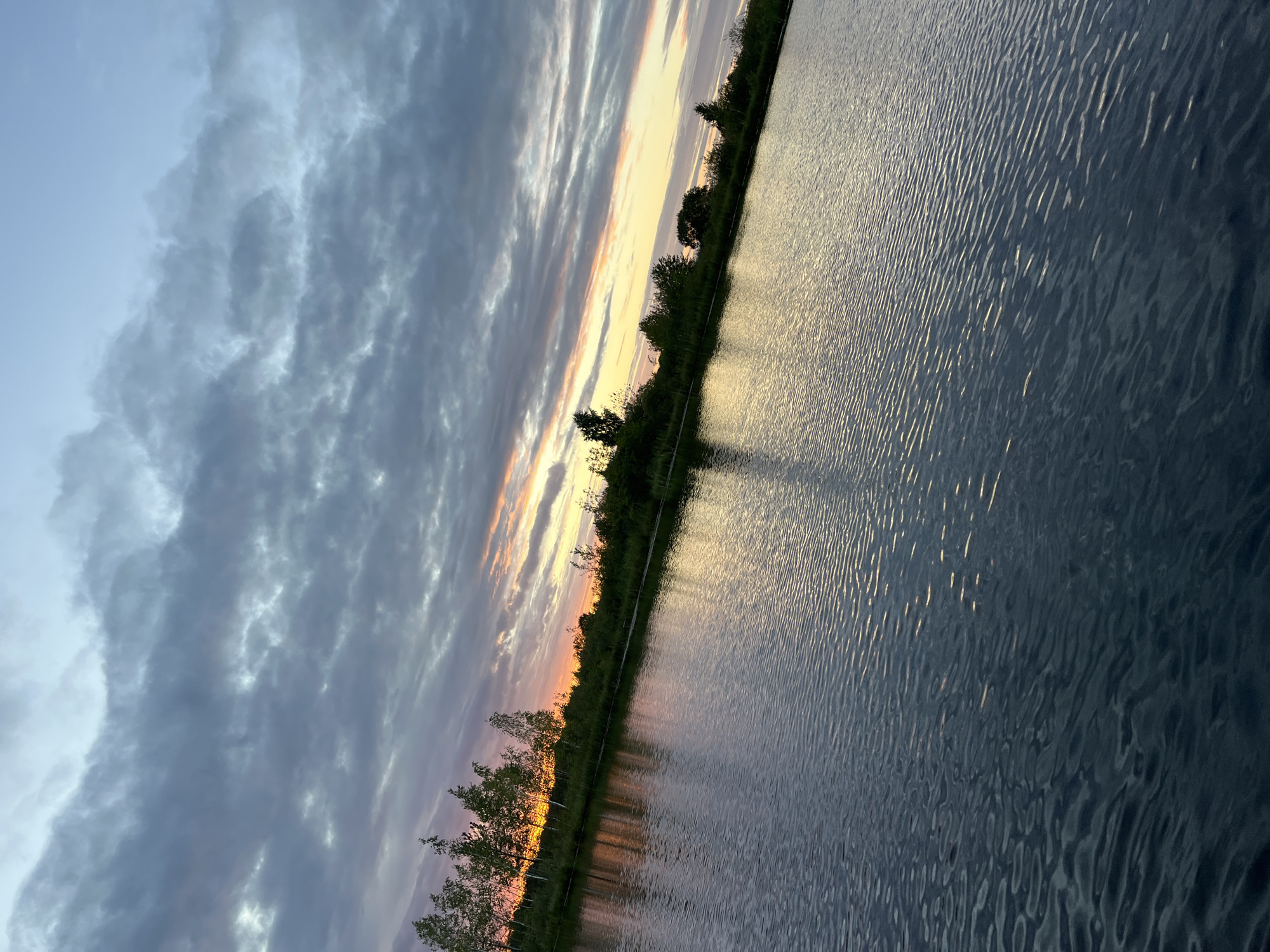 This is a vertical, eye-level, medium shot of a body of water during a sunset. The sky is filled with a gradient of colors, from a light blue at the top to shades of gray, pink, and orange near the horizon. The clouds are layered and textured, with some parts appearing darker and more defined than others. In the distance, a treeline separates the water from the sky, with several tall, thin trees on the left side of the frame illuminated by the setting sun. The water in the foreground is dark blue and has a rippled surface, reflecting the colors of the sky in some areas. The overall scene depicts a serene natural landscape during twilight, with the location being the village of Dunilavichy, in the Dunilavichy Rural Council, Belarus. There are no people or animals visible in the image.