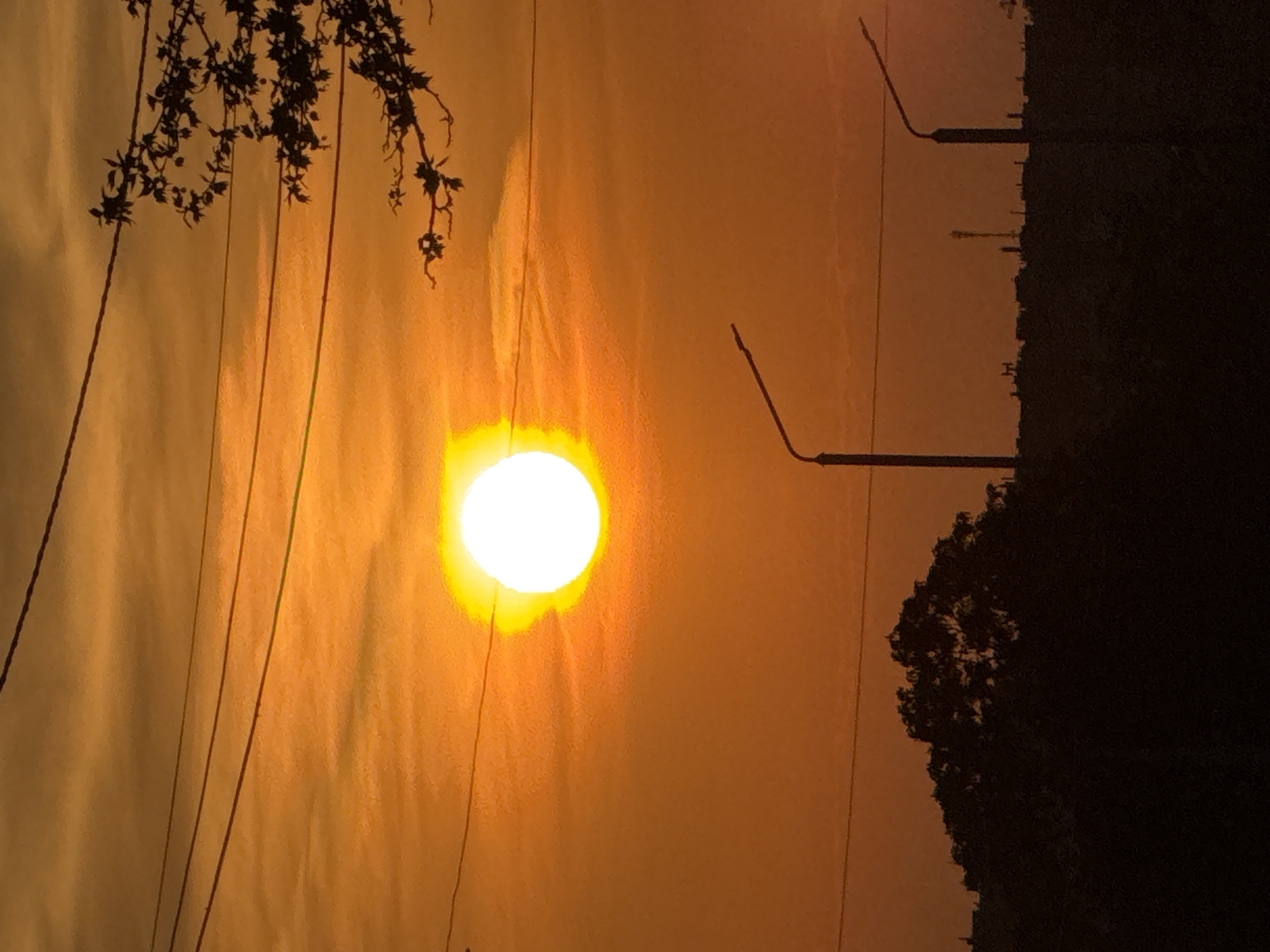 The image depicts a sunset scene. In the foreground, power lines and silhouetted branches are visible against the orange sky. The sun is a bright, circular orb with a slight yellow halo. In the background, streetlights and silhouetted trees are discernible. Due to the limitations of the image, it is not possible to confirm the location in the city of Dobrich, Bulgaria.