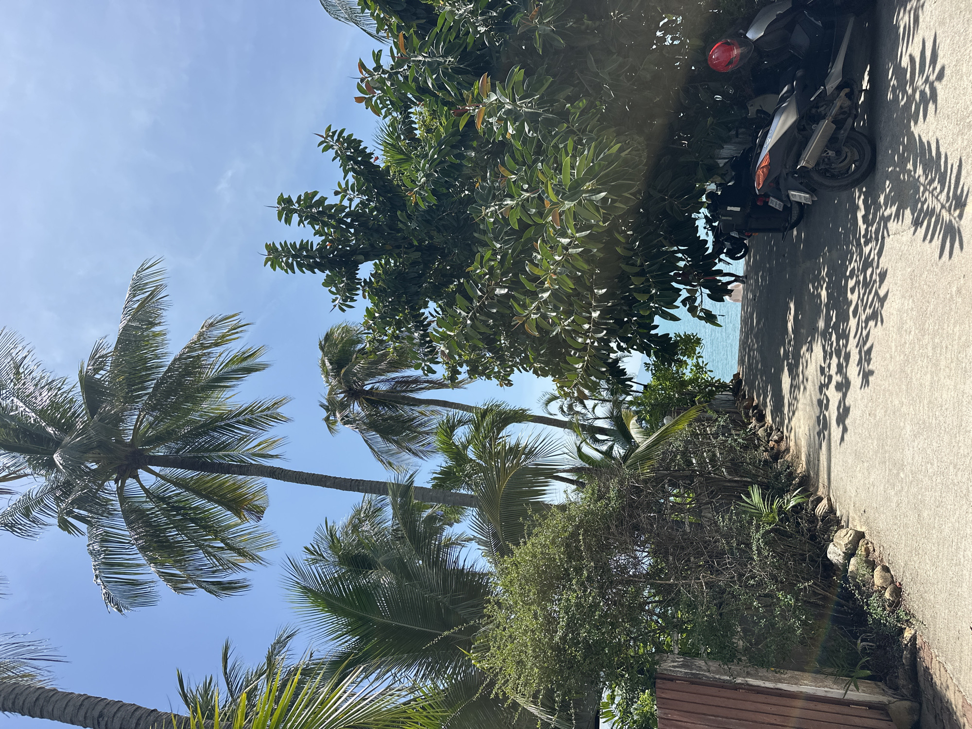 The image depicts a path leading towards a beach on Ko Samui District, Thailand, on a clear, sunny day. The path is paved and lined with lush vegetation, including palm trees and a large leafy tree. Several motorcycles are parked under the shade of the leafy tree, with one motorcycle prominently featuring a red helmet. In the distance, the turquoise ocean is visible, and a person is standing near the water. The overall atmosphere is tropical and serene.