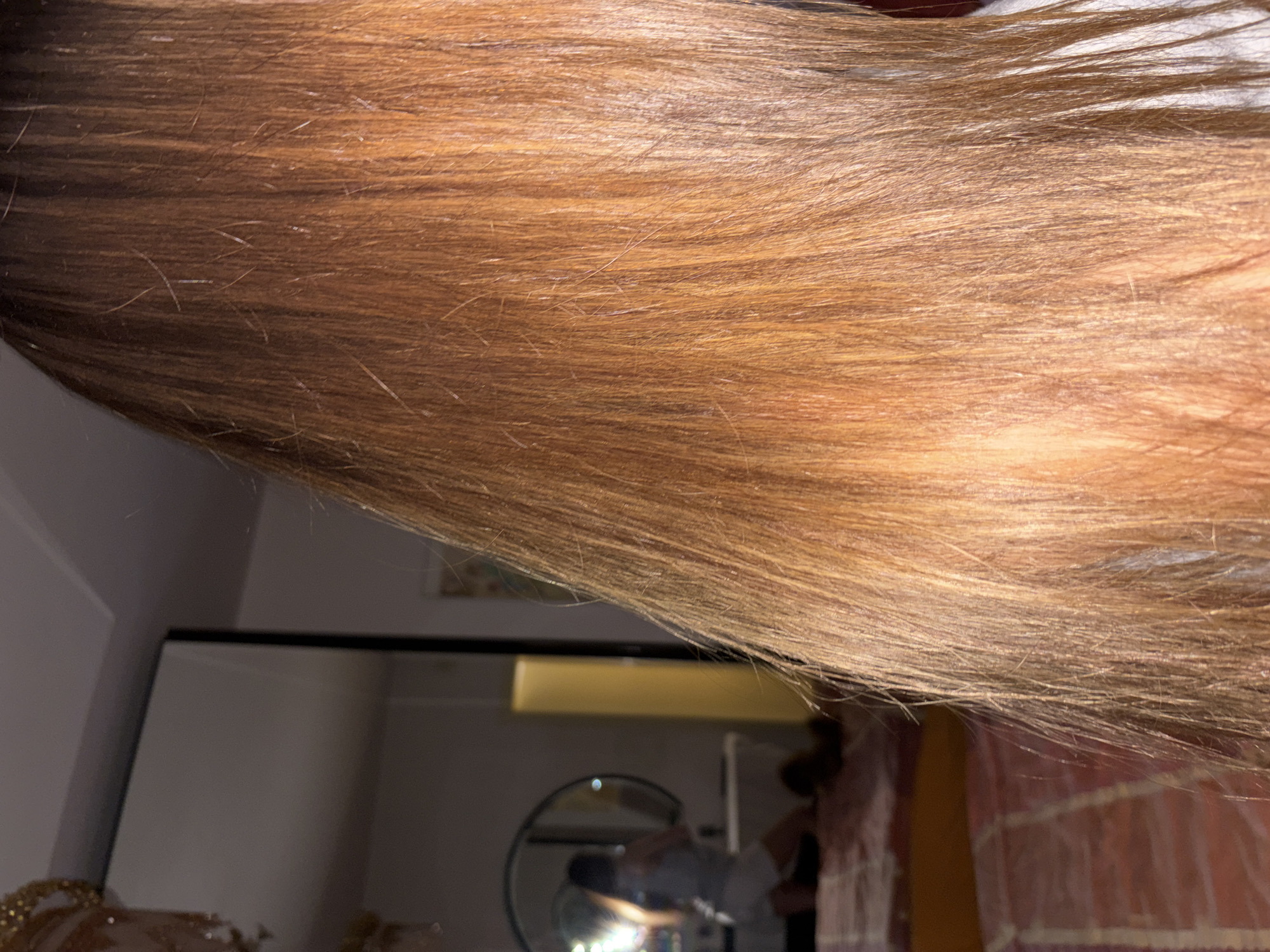 The image shows a close-up of light brown hair. The hair appears to be long and relatively straight, with some strands slightly lighter in color. The background is blurred, but elements of a room are visible, including what appears to be a mirror reflecting a person, a doorway, and a brick-patterned fabric. The room is dimly lit. There is no indication of the city of Sofia, Bulgaria.