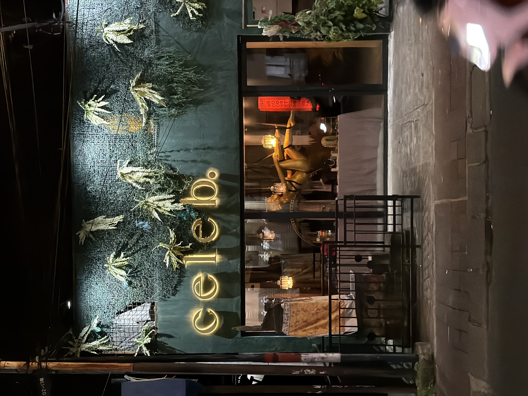 A dimly lit photograph, taken outdoors at night, depicts a building entrance and the exterior wall. The scene is located in North Kuta, Indonesia. The building's dark green exterior wall is decorated with light-colored leafy plants and illuminated with vertical neon letters spelling "Celeb." To the right of the decorated wall is a glass window and door combination that allows a view into the interior. Inside the building, a mannequin performing aerial acrobatics can be seen. The photograph includes a sidewalk and building exterior to the right of the entrance. Low-hanging power lines and utility poles are visible in the lower part of the image.