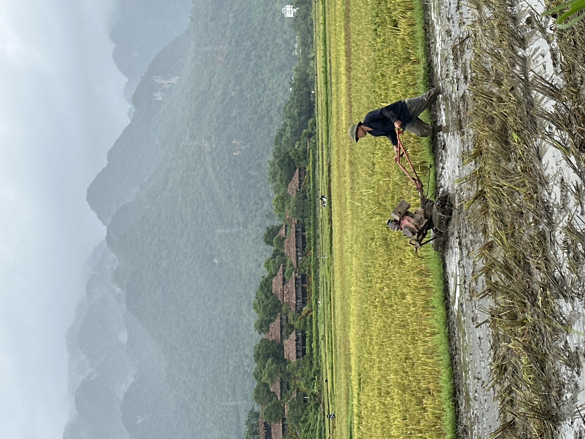 A man wearing a hat and dark clothing operates a tiller in a muddy rice field. The tiller is red and silver and is moving through the water. The man is wearing dark pants and boots that are submerged in the water. In the background, there is a lush green rice field. Further back, a village with traditional thatched-roof houses is nestled among trees, with a backdrop of misty, verdant mountains. The sky is overcast and appears to be raining lightly. The overall scene depicts agricultural work in a rural Vietnamese setting, likely Xóm Khán, Vietnam, given the characteristic landscape.
