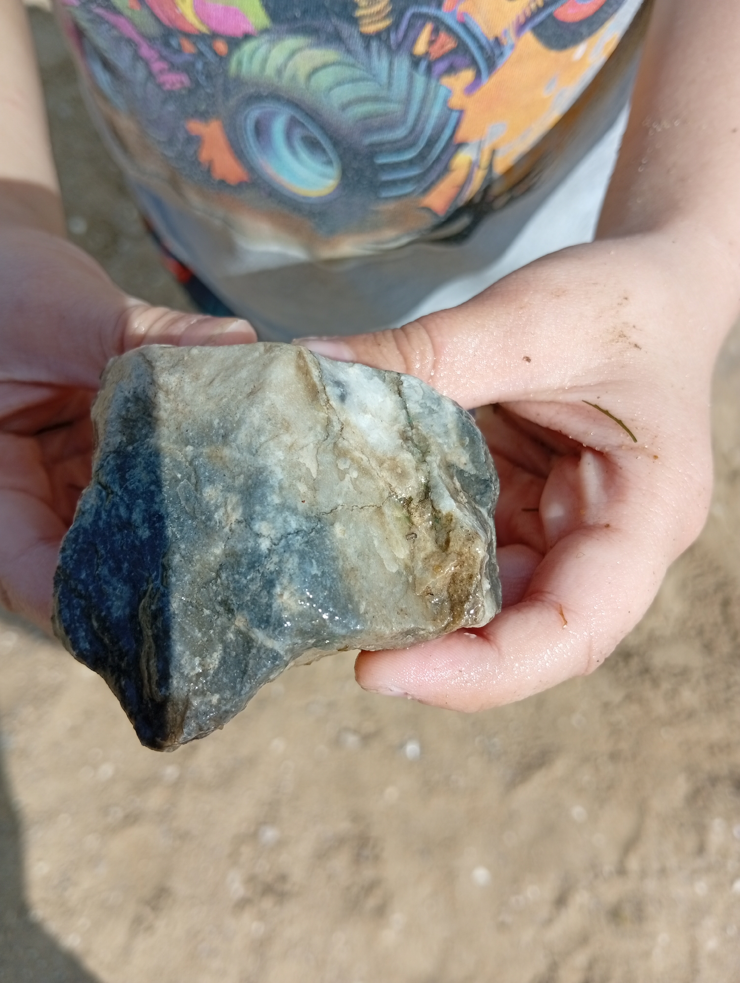 A close-up shot shows a person's hands holding a wet, irregularly shaped rock. The rock is a mix of gray, white, and brown tones, with some dark, shadowy areas. The person's hands are slightly sandy, and a few pieces of debris are visible on them. In the background, the sandy ground is out of focus, suggesting an outdoor location. The person is wearing a t-shirt with a colorful graphic of a monster truck's wheel on it. The lighting indicates it is daytime. The location is Мичурин ауылдық округі, Kazakhstan.
