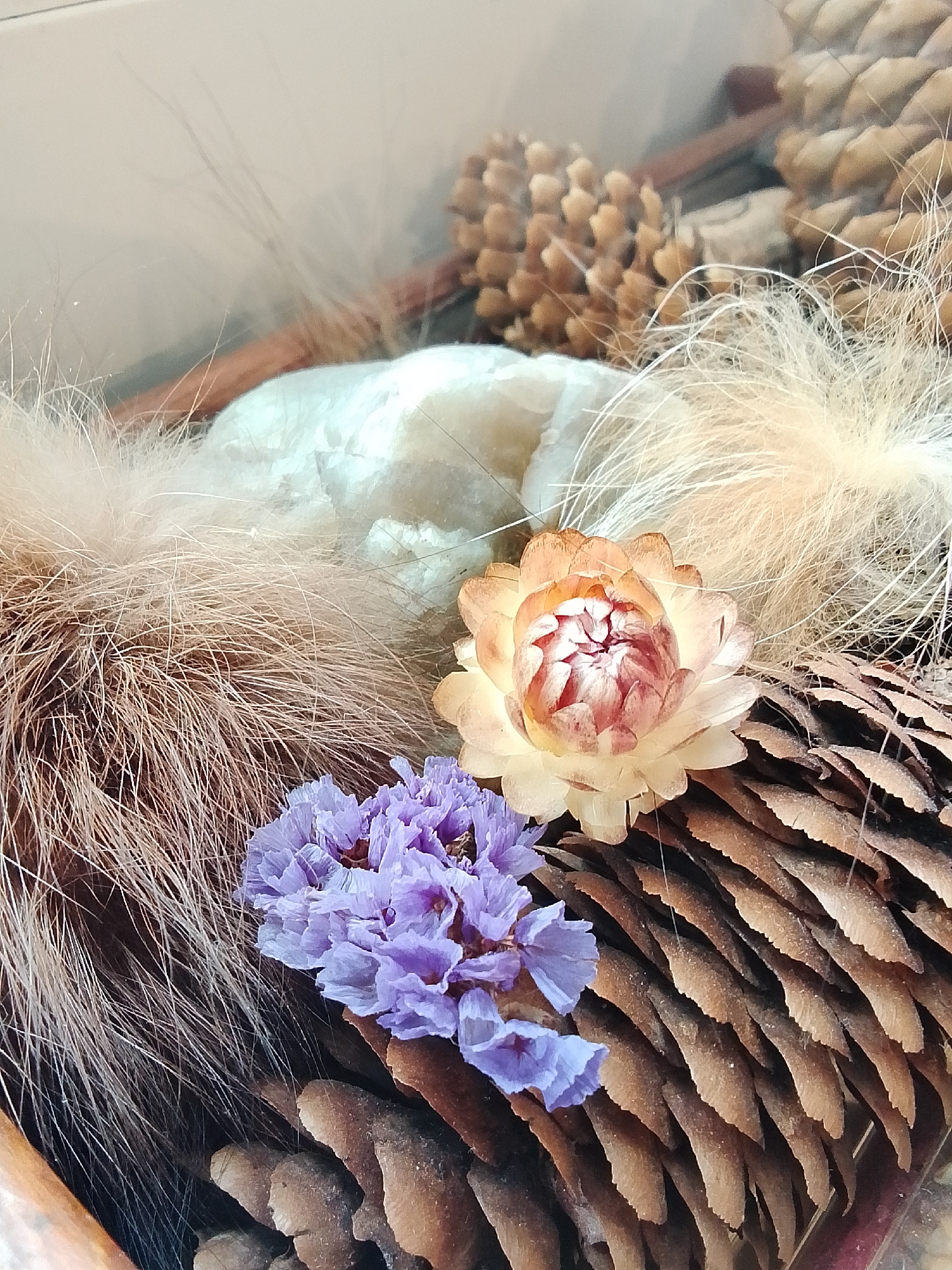 The image is a close-up of an arrangement of natural materials. A large, brown pinecone occupies a significant portion of the lower right of the frame, its scales tightly packed. A smaller cluster of purple flowers sits atop the cone, near its base. Adjacent to the cone is a tuft of tan-colored fur or grass-like material. A pale yellow flower with a reddish center rests on the fur. In the background, a white object is partially visible, along with another pinecone. The scene is enclosed, suggesting a display within a container or terrarium. The arrangement seems to be indoors.