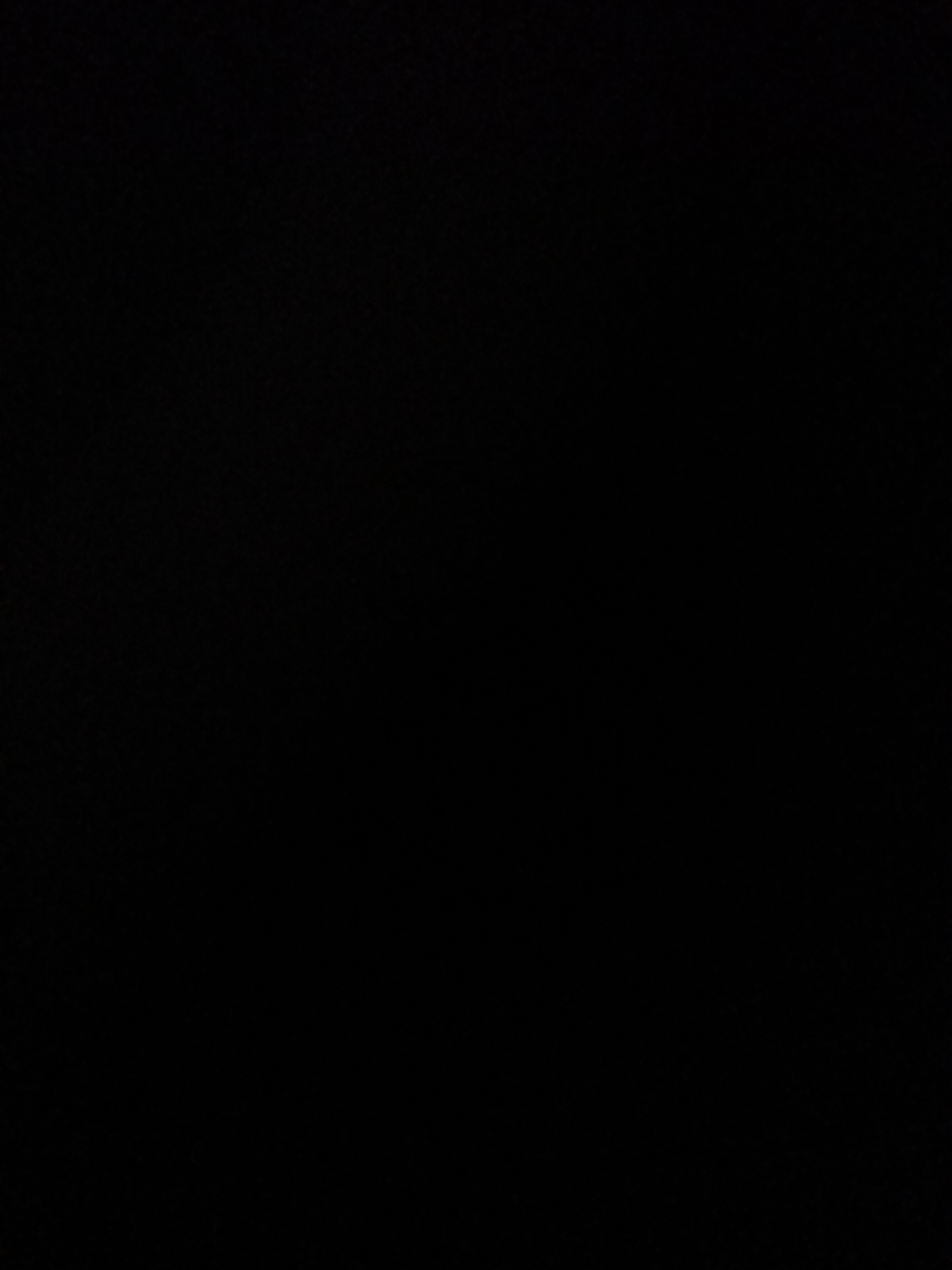 This is a completely black image. There are no visible subjects, objects, scenes, activities, or notable details. No text is visible, and no context regarding time of day, weather, location, or emotions can be inferred.