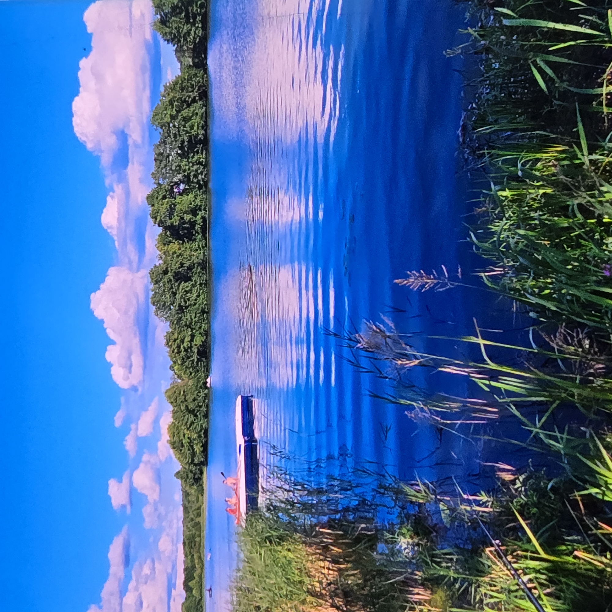 The image depicts a serene lake scene under a bright blue sky with scattered white clouds tinged with pink. The foreground is dominated by tall green reeds and grasses, with a fishing rod visible on the left. In the middle ground, a white floating platform is in the water, carrying three individuals, one of whom is holding a paddle. Beyond the platform, several other small boats or buoys are visible on the lake. The background features a dense line of green trees along the shoreline, with more distant vegetation suggesting rolling hills. The water is a deep blue, reflecting the sky and clouds, creating ripples and patterns. This scene is located at the Lybid River in Vladimir, Russia.