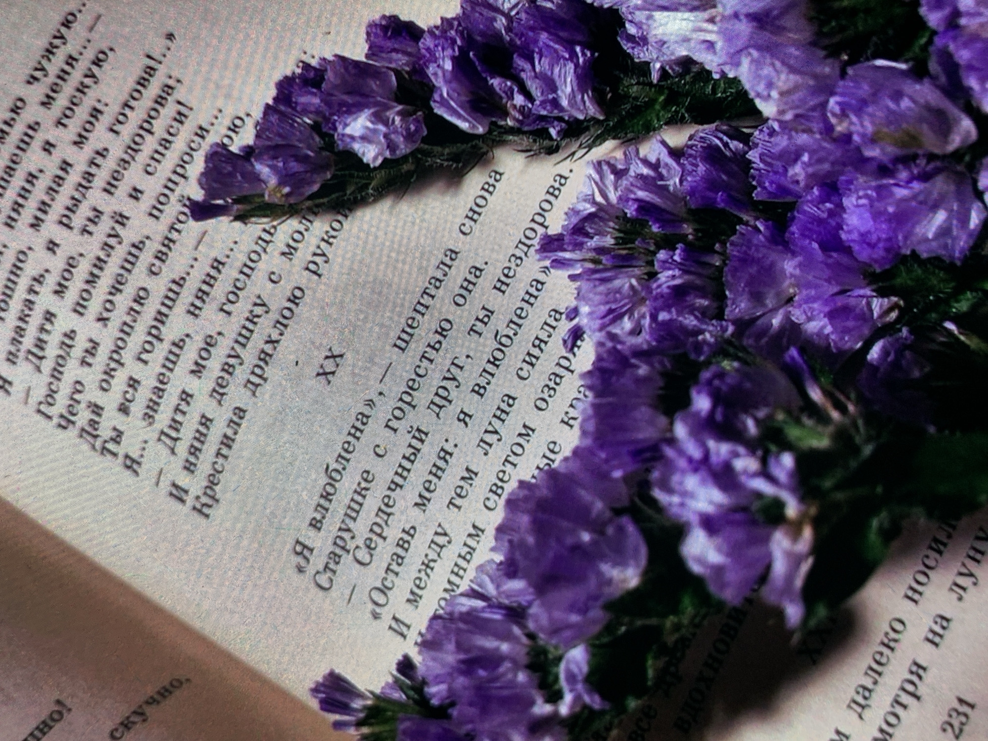 The image shows a book with Cyrillic text, with a sprig of dried purple flowers arranged on top of the pages. The book appears to be open, with text visible on both pages. The flowers are delicate and have a somewhat faded appearance. The lighting is soft, suggesting an indoor setting. There is no indication of the city of Nizhny Tagil, Russia, or any people or specific actions within the scene. The environment is that of a still life composition.