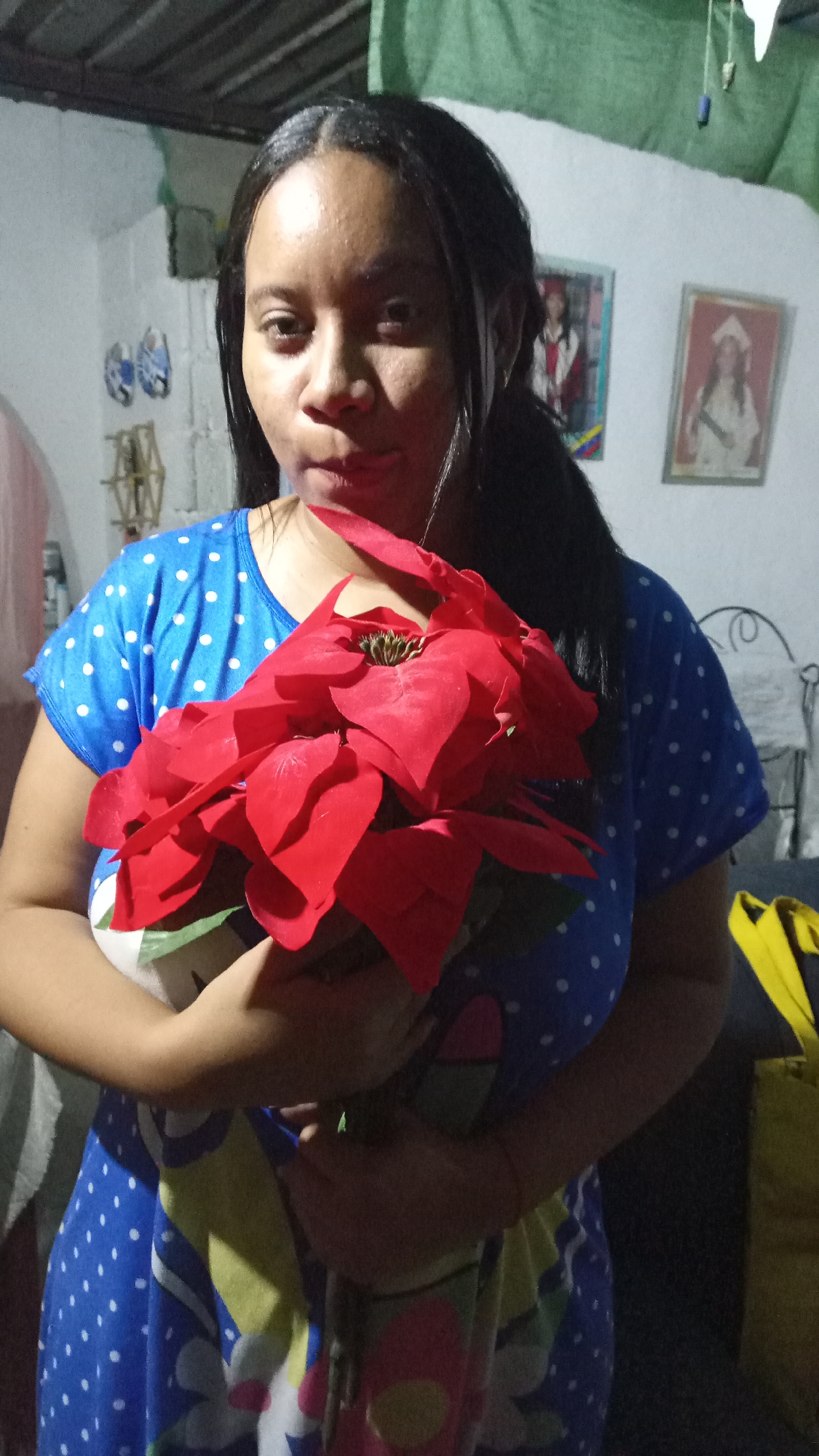 A woman holds a bouquet of red poinsettias. She is wearing a blue polka-dot shirt and is partially obscured by the flowers. Behind her is a white wall with two framed pictures hanging on it. Based on the available information, the location is assumed to be in the city of Cúa, Venezuela.