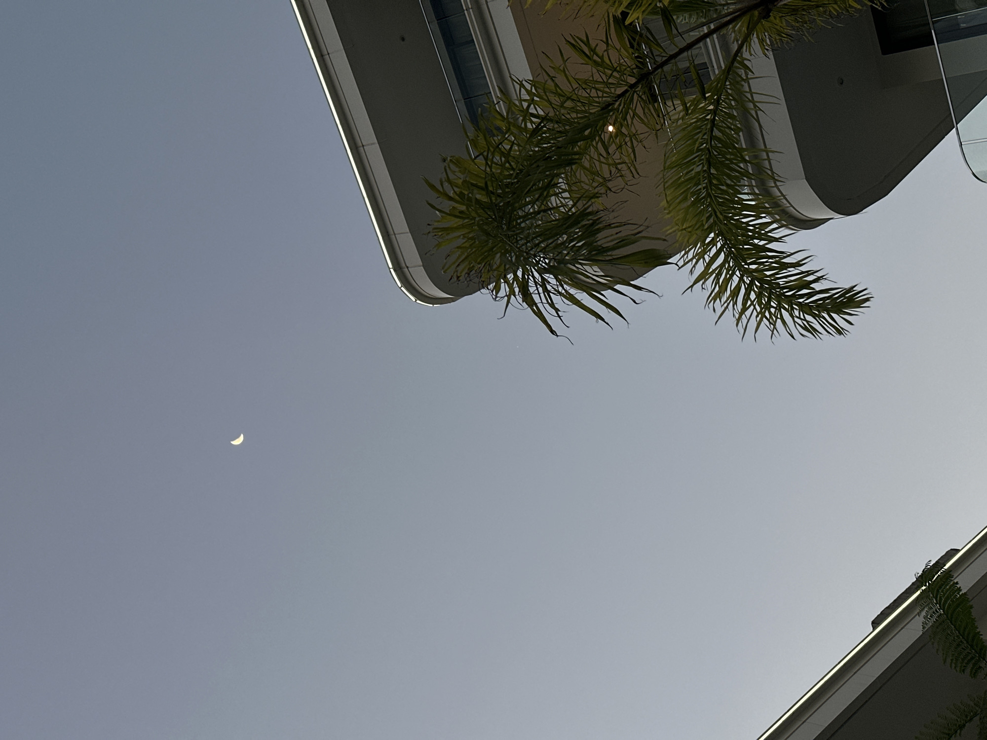 The image depicts an urban environment in Choeng Thale, Thailand, observed from a low-angle perspective looking upwards towards the sky. The upper two-thirds of the frame are dominated by a clear, pale blue-grey sky, suggesting either early morning or late afternoon conditions. A distinct, slender crescent moon, illuminated with a soft yellowish hue, is visible in the upper-left quadrant of the sky.
In the lower right portion of the image, a modern building with a curved architectural design is prominent. It features multiple stories with white or light-grey facades and horizontally extended balcony or roof overhangs that are outlined by a continuous strip of bright white illumination, likely LED lighting. Parts of glass railings are visible on the balconies. Directly in front of this building, a substantial portion of a palm tree with green fronds is visible, partially obscuring the building's facade. In the lower-left corner, the top edge of another building, architecturally similar to the one on the right with a visible white illuminated line, is present. No individuals, specific actions, or interactions are discernible within the frame.