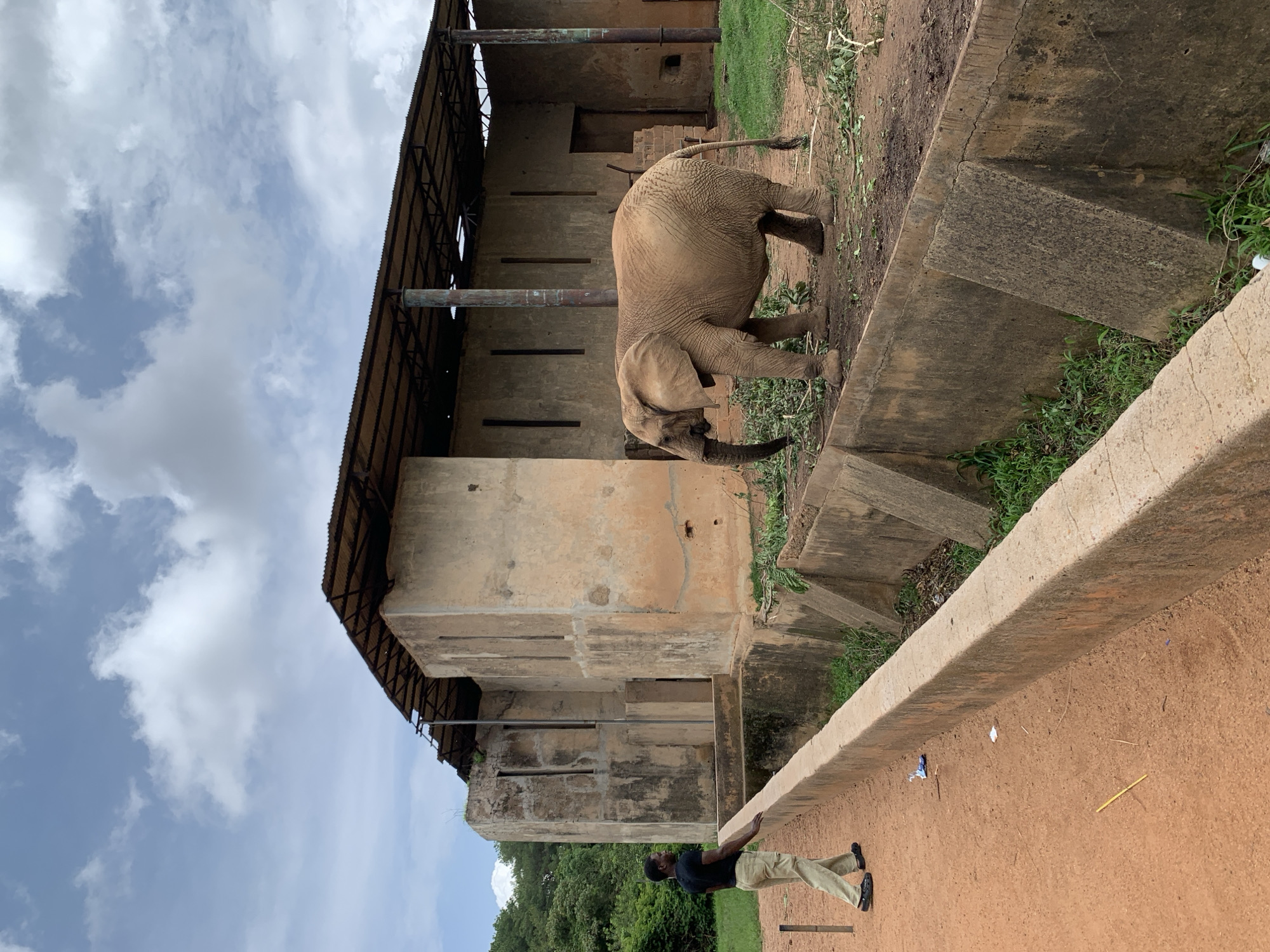 The image shows an elephant in an enclosure, with a building structure in the background and a man standing on the side. The elephant is a large, adult African elephant, light brown in color, with visible wrinkles on its skin and large ears. It is facing away from the camera, with its head lowered, as if it is reaching for something on the ground. The building behind the elephant appears to be an old, weathered structure made of concrete and metal. It has a corrugated metal roof and several openings that suggest it might be a shelter or part of a zoo exhibit.
The ground in the enclosure is a mixture of dirt and some vegetation. There are concrete ledges and steps in the foreground and around the enclosure, suggesting a designed environment. To the right of the enclosure, a man is standing, dressed in a dark t-shirt and light-colored pants. He is facing the enclosure, with his arms resting on a concrete barrier. His posture suggests he is observing the elephant.
The sky is visible in the upper part of the image and appears to be partly cloudy, with some patches of blue sky visible. The lighting suggests it is daytime, possibly late morning or afternoon, as there are no strong shadows. The overall scene depicts an outdoor enclosure for an elephant, likely in a zoo or wildlife park. The weathered state of the building and the rough terrain might suggest a less-developed or older facility. The presence of the man indicates that this is a place where visitors can observe the elephant. The location context provided is Jos, Nigeria. There is no visible text in the image.