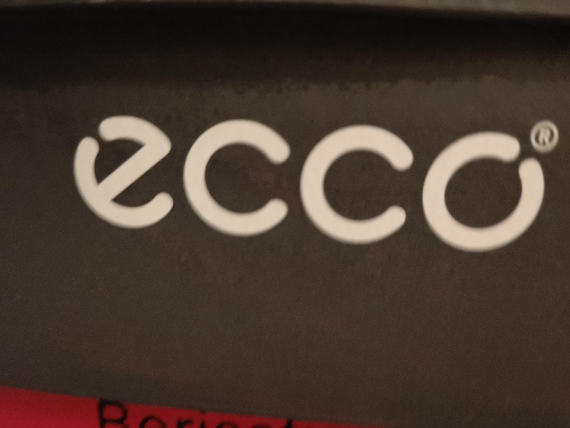The image displays a close-up shot of the word "ecco" in white, stylized font on a dark, textured background. To the right of the word, a small, circular "R" in a circle symbol, indicating a registered trademark, is visible. Below the "ecco" logo, a portion of a red stripe is visible, with what appears to be black text partially obscured. The overall image quality is somewhat blurry. The location is unknown.