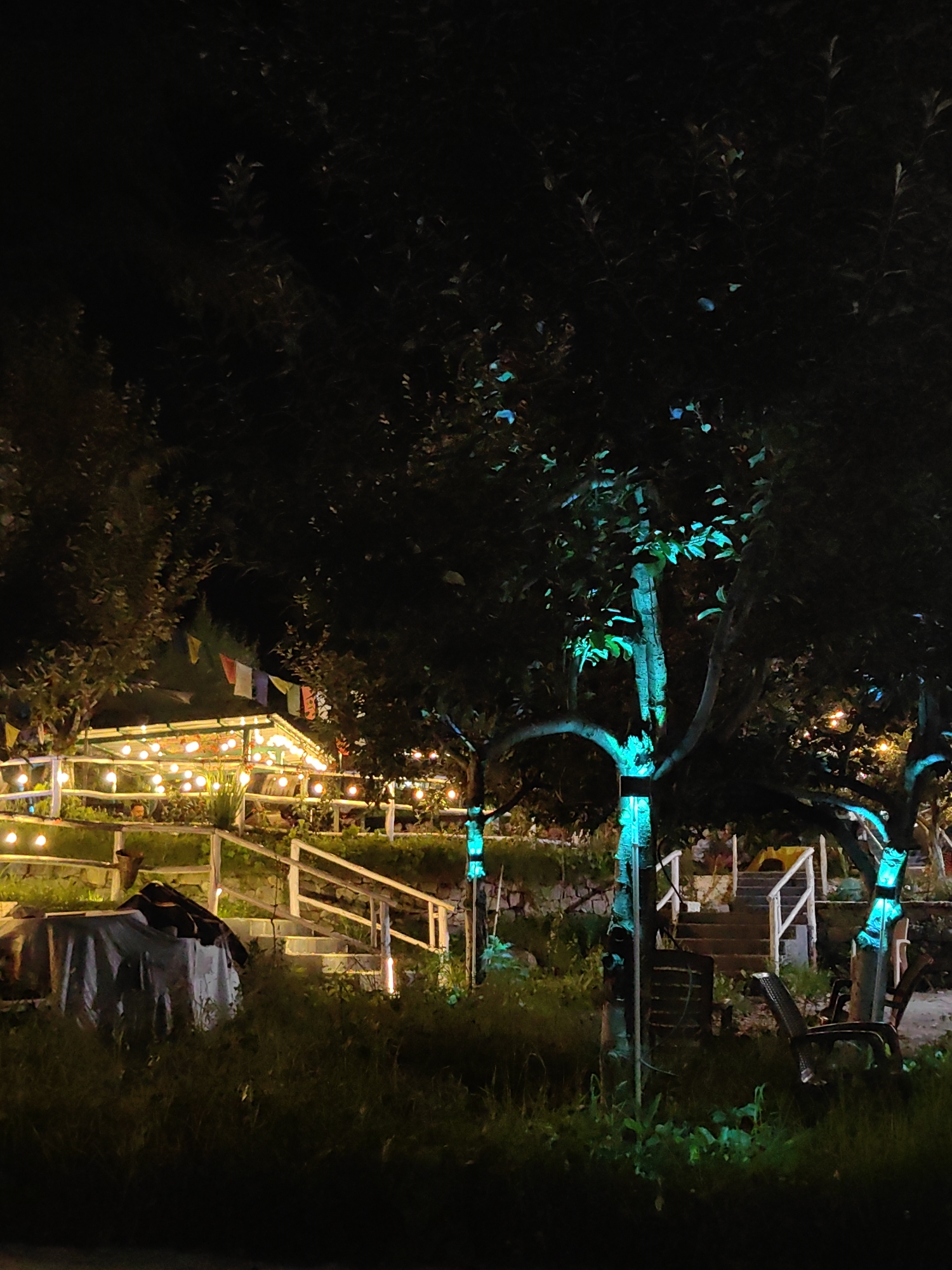 The image depicts an outdoor scene at night, possibly in Barheta, India, characterized by artificial lighting and natural elements. In the foreground, tall grass and shadows obscure much of the ground. A table covered with a draped cloth is visible on the left.
The middle ground features a series of white railings and wooden stairs ascending a gentle slope. String lights are strung along the railings, illuminating the area with a warm glow. Beyond the railings, a structure with a roof is visible, also adorned with numerous small, round lights. Several flags, appearing to be national or symbolic, hang from the structure.
The background is dominated by dark silhouettes of trees. Some of these trees are wrapped with vibrant blue lights, creating a stark contrast against the dark foliage. The overall ambiance suggests an outdoor gathering or event space, illuminated to be inviting after dark. No people are clearly discernible in the image, though the presence of furniture and lighting implies human activity. The environment appears to be a garden or park setting.