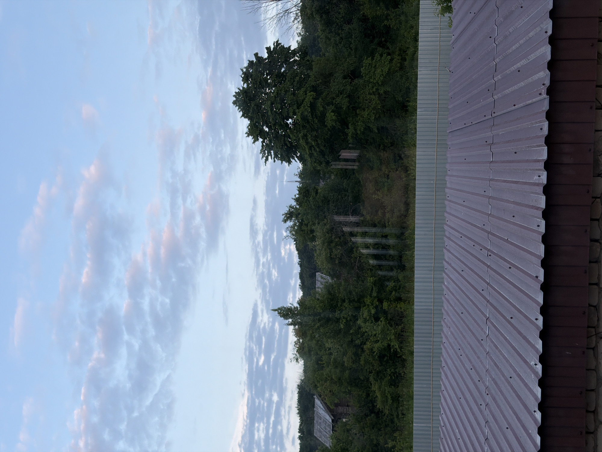 The image captures a rural or semi-rural landscape with a focus on a dark reddish-brown corrugated metal roof in the foreground, partially obscuring the view of the background. This roof is angled and appears to be on a structure with a dark brown wooden side and a brick foundation. Behind this structure, a light gray corrugated metal fence stretches horizontally across the mid-ground. Beyond the fence, a dense green treeline dominates the landscape, with several houses or wooden structures partially visible amongst the foliage. One structure on the left features a weathered gray roof. A large, full-bodied tree stands prominently in the right half of the treeline. The sky above is a pale blue with scattered, soft pink and white clouds, suggesting either early morning or late evening. The overall impression is of a quiet, undeveloped area, possibly on the outskirts of the city of Semiluki, Russia. No people or animals are visible in the scene.