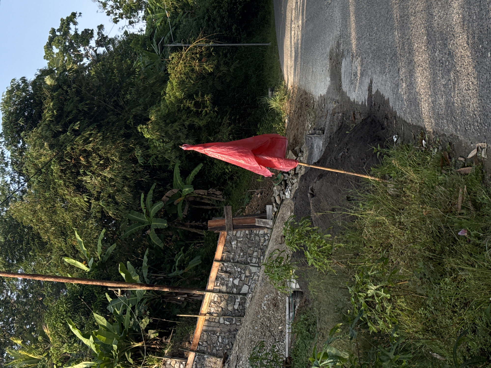The image depicts a scene in Alian, Indonesia. A bright red plastic flag, attached to a wooden stick, is planted on the edge of a paved road. The road appears wet, suggesting recent rain or a damp environment. Beside the road, there is an area of dark soil and some rough stones, possibly indicating construction or repair work. To the left of the road and the flag, a lush green hillside is covered with dense vegetation, including large-leafed plants that resemble banana trees, and bamboo.
Further down the slope to the left, a stone staircase is visible, bordered by wooden planks. The steps are constructed from irregular grey stones. The overall setting is natural and tropical, with abundant plant life. The sunlight suggests it is daytime, likely morning or late afternoon due to the angle of the light and shadows. No people or text are visible in the image.
