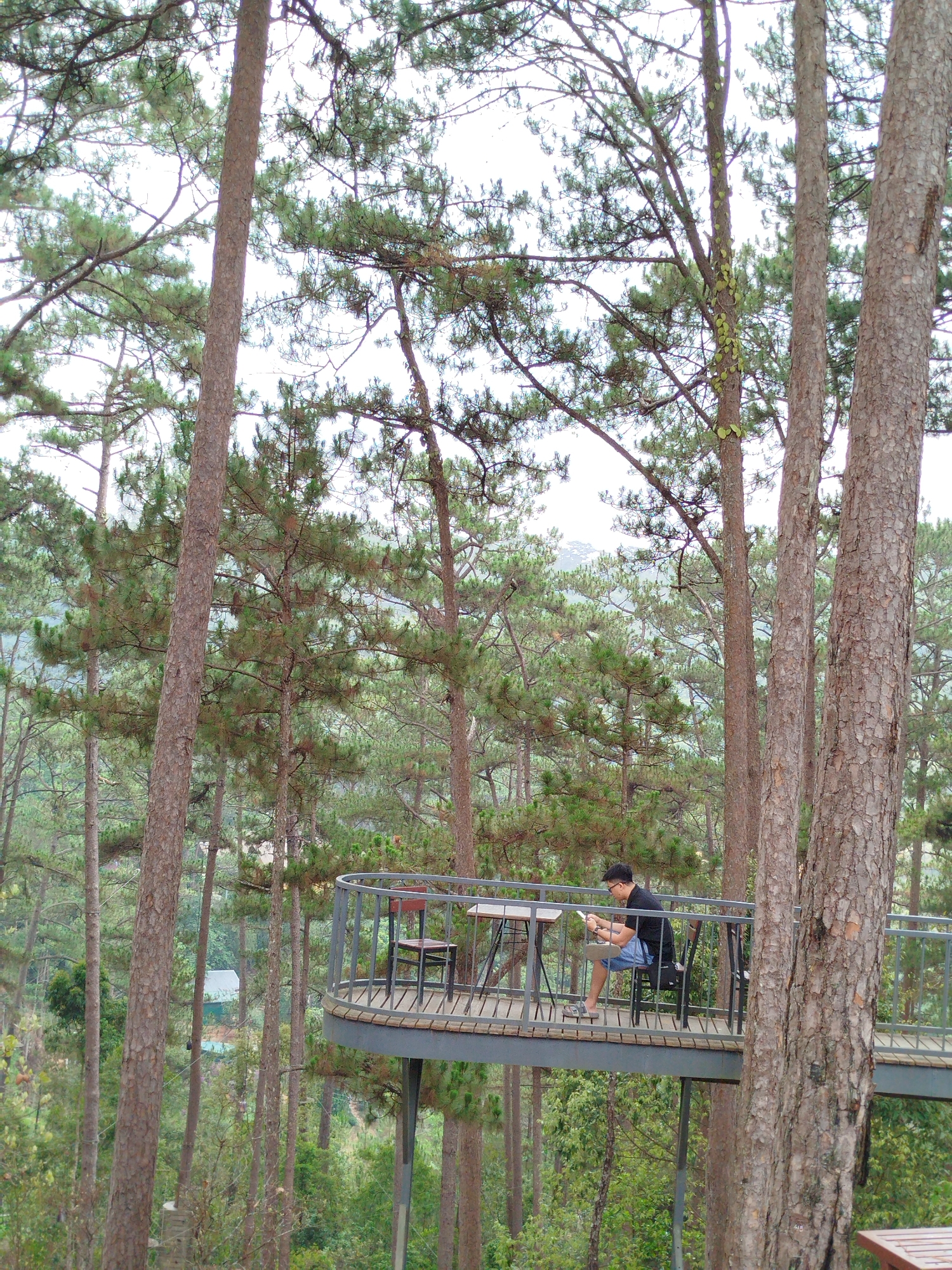 A man sits on a chair at a table on a wooden platform in a pine forest in Da Lat, Vietnam. He is wearing a black shirt, blue shorts, and flip-flops, and appears to be looking at a mobile phone. The platform has a metal railing around it and is supported by metal beams. The forest is dense, with tall pine trees surrounding the platform. In the background, there are hills and buildings.