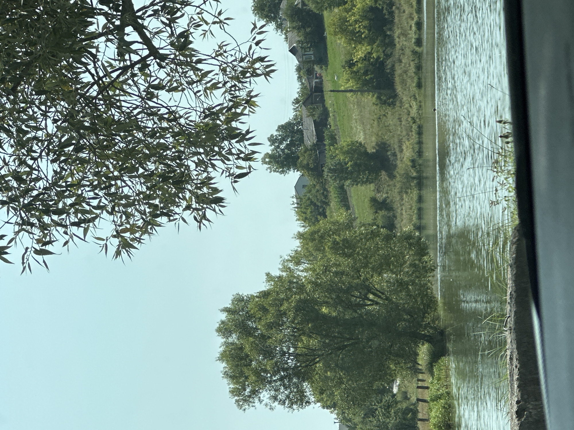 This image captures a serene waterside scene, likely taken from a vehicle, in Makiv, Ukraine. The foreground is dominated by a dark, possibly car interior element. Beyond this, a tranquil body of water reflects the sky and surrounding greenery. On the far bank, a gentle slope is covered in lush green grass and dotted with trees. Several small, rustic houses with dark roofs are nestled amongst the trees on the slope. The sky above is a clear, pale blue. In the water, a single dark figure, possibly a bird, is visible creating ripples. A large, leafy tree with dense foliage is prominently positioned on the left side of the water's edge, with its lower trunk submerged. The overall impression is one of peaceful rural life.