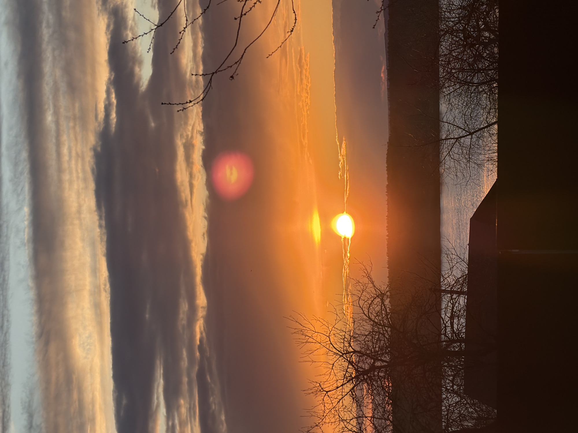 A serene and vibrant sunset illuminates a landscape over what appears to be a large body of water, likely a river or lake, in Chaikovsky, Russia. The sky is a dramatic tapestry of warm hues, transitioning from a soft blue-grey on the far left to intense oranges, yellows, and purples around the setting sun on the right. Streaky, elongated clouds run horizontally across the upper sky, catching the golden light.
The sun, a brilliant white-yellow orb, is positioned low on the horizon towards the right, casting a bright glow and reflections across the water. A prominent pinkish-red lens flare is visible in the upper mid-left of the sun, alongside other fainter light artifacts.
In the mid-ground, the expansive water reflects the sky's colors, appearing dark and calm except for shimmering highlights where the sun's path touches the surface. A distant, dark landmass or forested hills line the horizon across the water.
The foreground is characterized by the silhouettes of bare, deciduous tree branches, suggesting a late autumn or winter season. Delicate branches extend into the frame from the upper left, while a larger, intricate tree with many bare branches stands prominently on the lower right, partially obscuring the water. A dark, indistinct structure, possibly a building or dock, is also silhouetted on the far lower right, grounding the scene.
The image captures the peaceful ambiance of dusk, with no visible people or text. The weather appears clear, enhancing the clarity and intensity of the sunset colors.