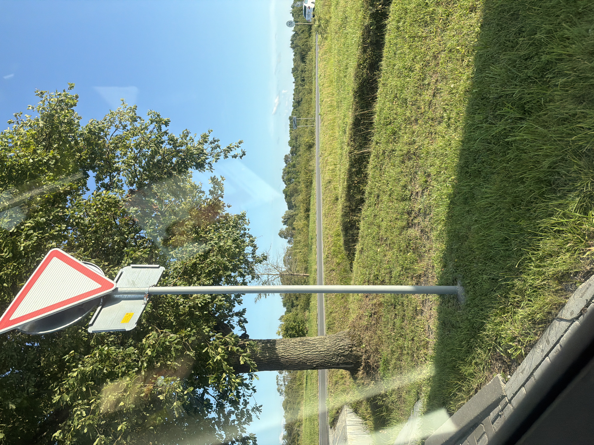The image depicts a roadside scene in Laskino, Russia, on a clear day. A large tree with green foliage stands prominently to the left, next to a silver pole supporting a triangular "Yield" sign and a smaller rectangular sign with a yellow sticker. A paved road runs horizontally across the middle ground, bordered by a grassy verge. Beyond the road, a line of trees forms a distant treeline under a bright blue sky. A white car is visible on the right side of the road, and a speed limit sign with "70" is also present. The foreground shows a curb and a patch of green grass. The overall environment suggests a rural or suburban setting outside of a developed urban core.
