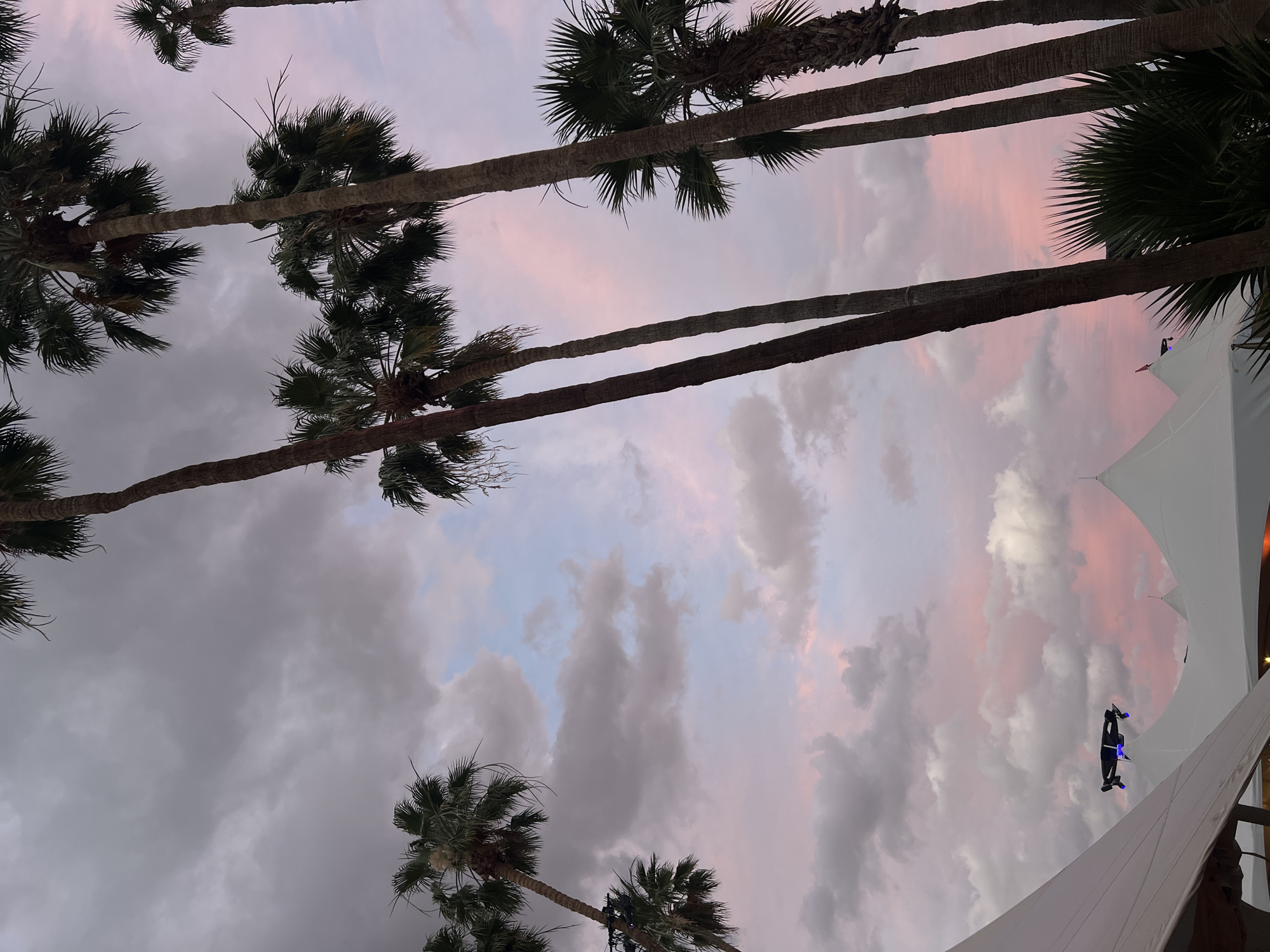 Captured from a low angle, the image shows several palm trees set against a dynamic sky with a mix of gray, pink, and blue hues, indicative of either sunrise or sunset. The trees are silhouetted, their trunks appearing long and vertical. A portion of a large white tent structure is visible, possibly part of an event venue. The location is Indio, United States of America.
