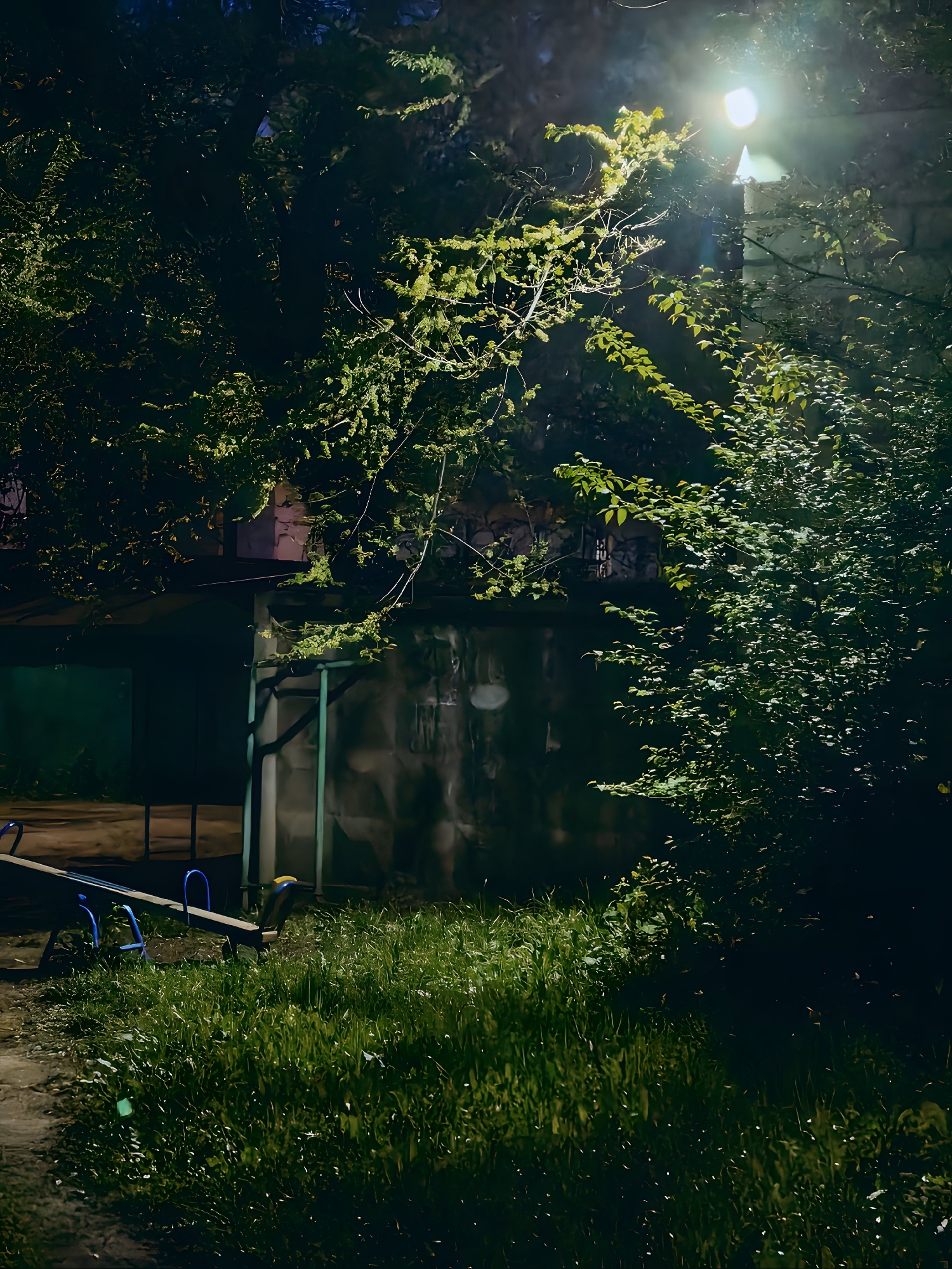 The image depicts a dimly lit playground scene at night, illuminated by a single, bright streetlamp. The foreground features a seesaw with blue handles and a yellow seat, partially obscured by tall, green grass. A dirt path runs alongside the grass. In the background, a corrugated metal structure with a green frame is visible, suggesting it might be part of a building or shed. Overhanging the scene are branches of a tree, their leaves catching the light from the streetlamp, creating a dappled effect. The overall mood is quiet and somewhat eerie, due to the darkness and the stark illumination. There are no people or animals visible in the image. The weather appears calm, with no indication of rain or wind. The location context suggests this scene is in Ulyanovsk, Russia. There is no visible text in the image.