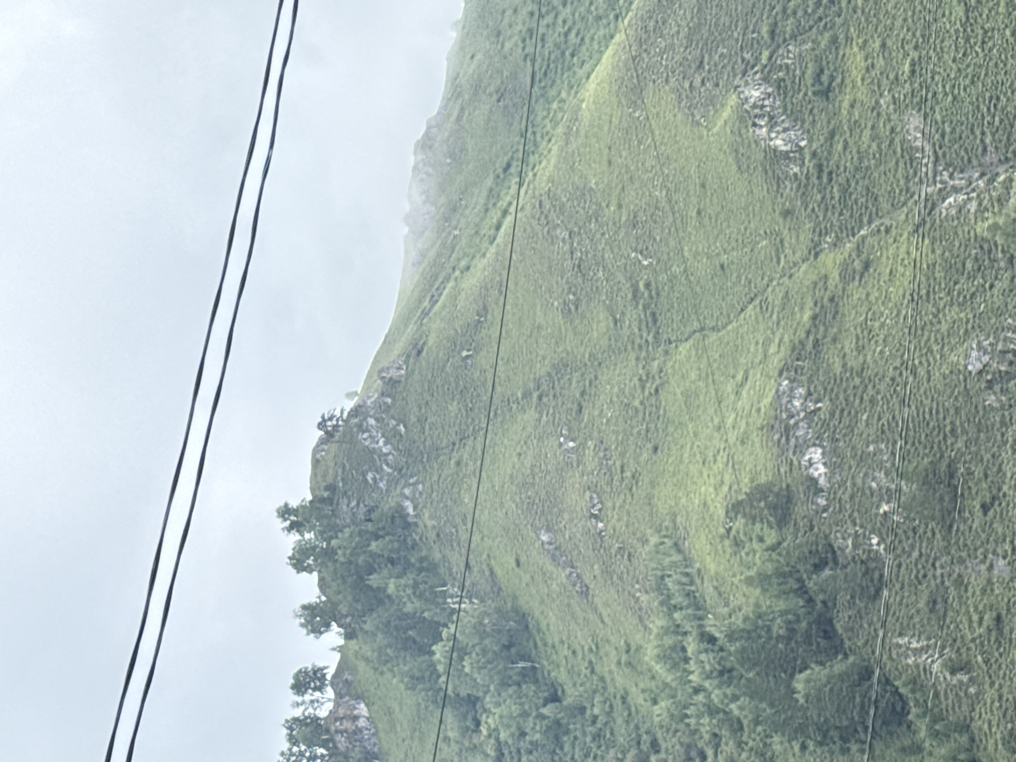 The image shows a lush green mountain slope under a cloudy sky. Two parallel black wires are stretched across the foreground, partially obscuring the view of the mountain. The mountain is covered in thick vegetation, with trees dotting the upper ridge and scattered across the slopes. Rocky outcrops are visible on the mountainside, and a faint trail or dry stream bed is etched into the greenery. The scene appears to be a natural landscape, possibly a rural or mountainous area. The location is identified as Manzherok, Russia.
