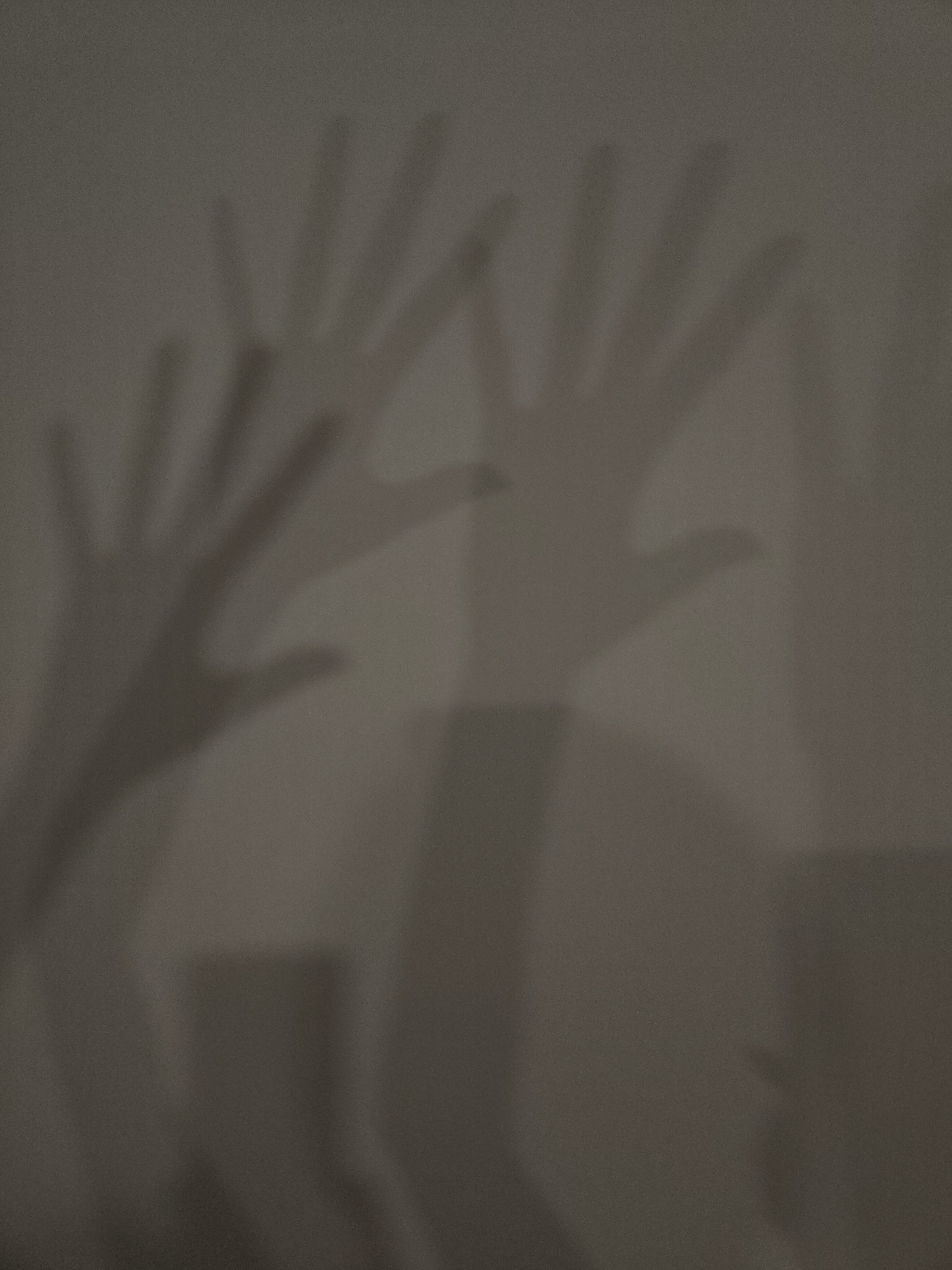 The image displays the distinct shadows of two human hands cast onto a plain, light-colored surface, likely an indoor wall or screen. One hand shadow is positioned on the left side of the frame, appearing slightly lower and smaller. The other hand shadow is larger, situated towards the right side and higher up in the frame. Both hand shadows show splayed fingers. The background is a uniform, muted grey, suggesting low-light conditions or an indirect light source creating the shadows. The activity depicted is the casting of these hand shadows, possibly as an abstract or artistic gesture. There are no other visible objects, people, or discernible text. The scene conveys a quiet, possibly contemplative or playful mood, emphasizing form through light and shadow.