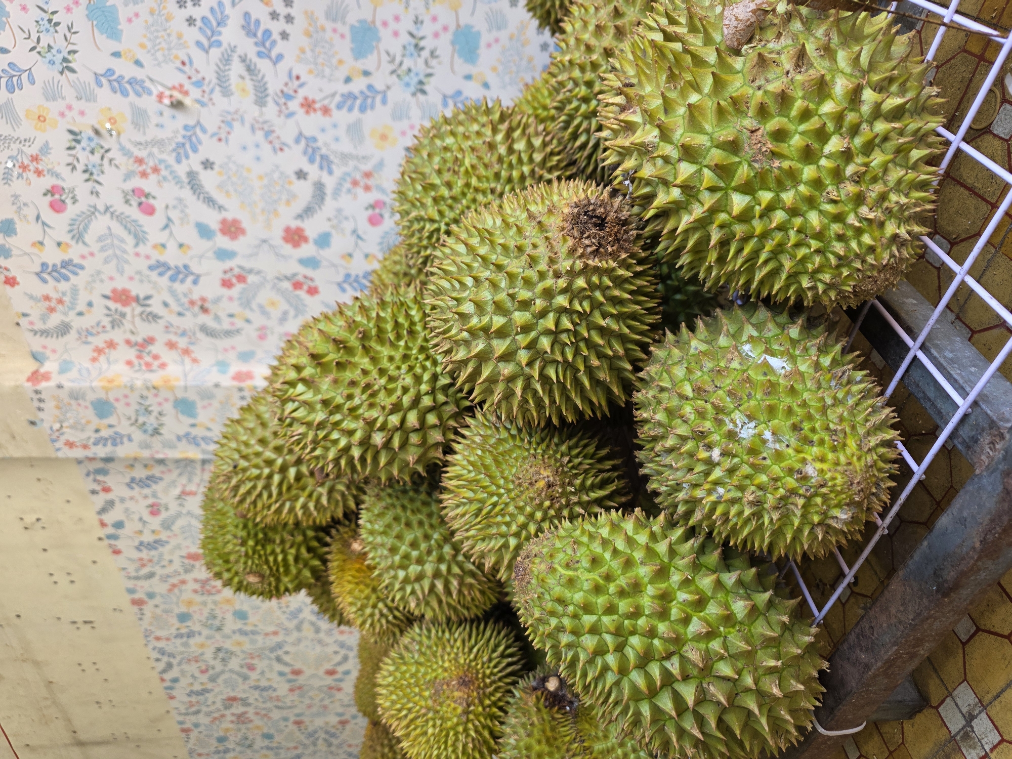 A pile of durians, a spiky tropical fruit, is displayed on a metal grate in what appears to be an outdoor market stall in Phan Thiết, Vietnam. The durians are predominantly green with some yellowish hues and are densely packed together, obscuring the surface beneath them. Behind the fruit, a wall is visible, adorned with a floral wallpaper featuring a repeating pattern of small, colorful flowers in shades of pink, blue, and yellow against a white background. The lighting suggests it is daytime, and the scene is captured from a slightly low angle.