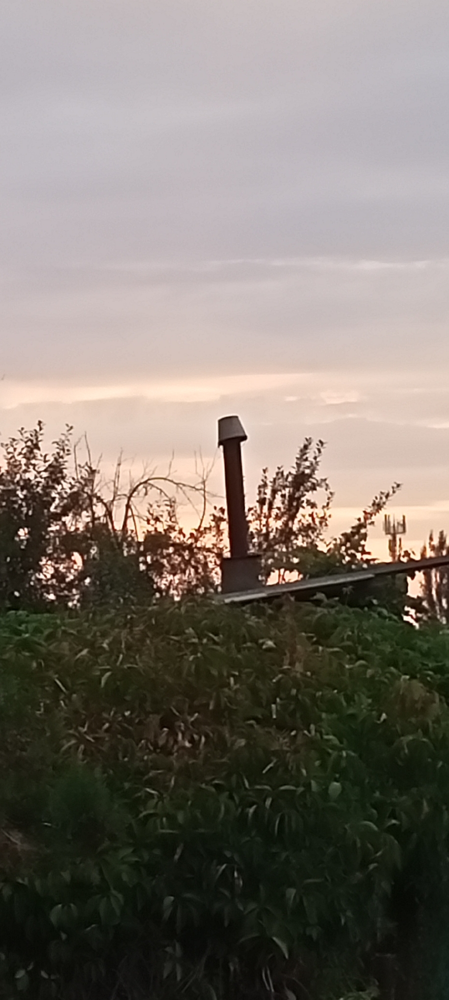 A vertical, slightly blurry, outdoor, full-frame shot shows a cloudy sky in the upper two-thirds and a dense green bush in the foreground. In the middle ground, a brown chimney pipe with a light gray cap protrudes upwards from a sloped, gray roof. The pipe is positioned slightly to the left of the center of the frame. Bare tree branches are visible behind the chimney. In the far background, to the right of the chimney, a communication tower is partially visible. The overall lighting suggests dusk or dawn. The image does not contain any people. The location is identified as Sokuluk, Kyrgyzstan.
