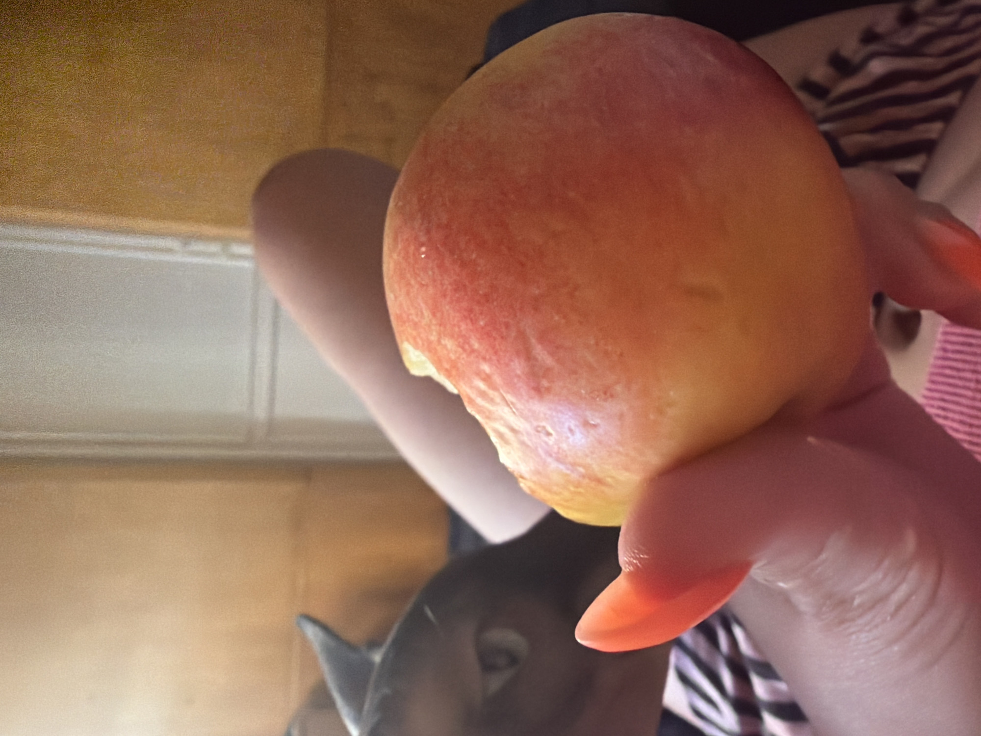 This media file features a close-up shot of a person's hand holding a nectarine. The nectarine is round with a blend of red and yellow hues, and a small bite has been taken from its side, revealing the flesh. The person's fingers are visible, with bright orange nail polish on their fingernails. In the background, a person is wearing a striped shirt. The setting appears to be indoors, possibly a kitchen, with wooden cabinetry and a white surface with a subtle sheen. The lighting suggests it is daytime. There are no visible text elements in the image.