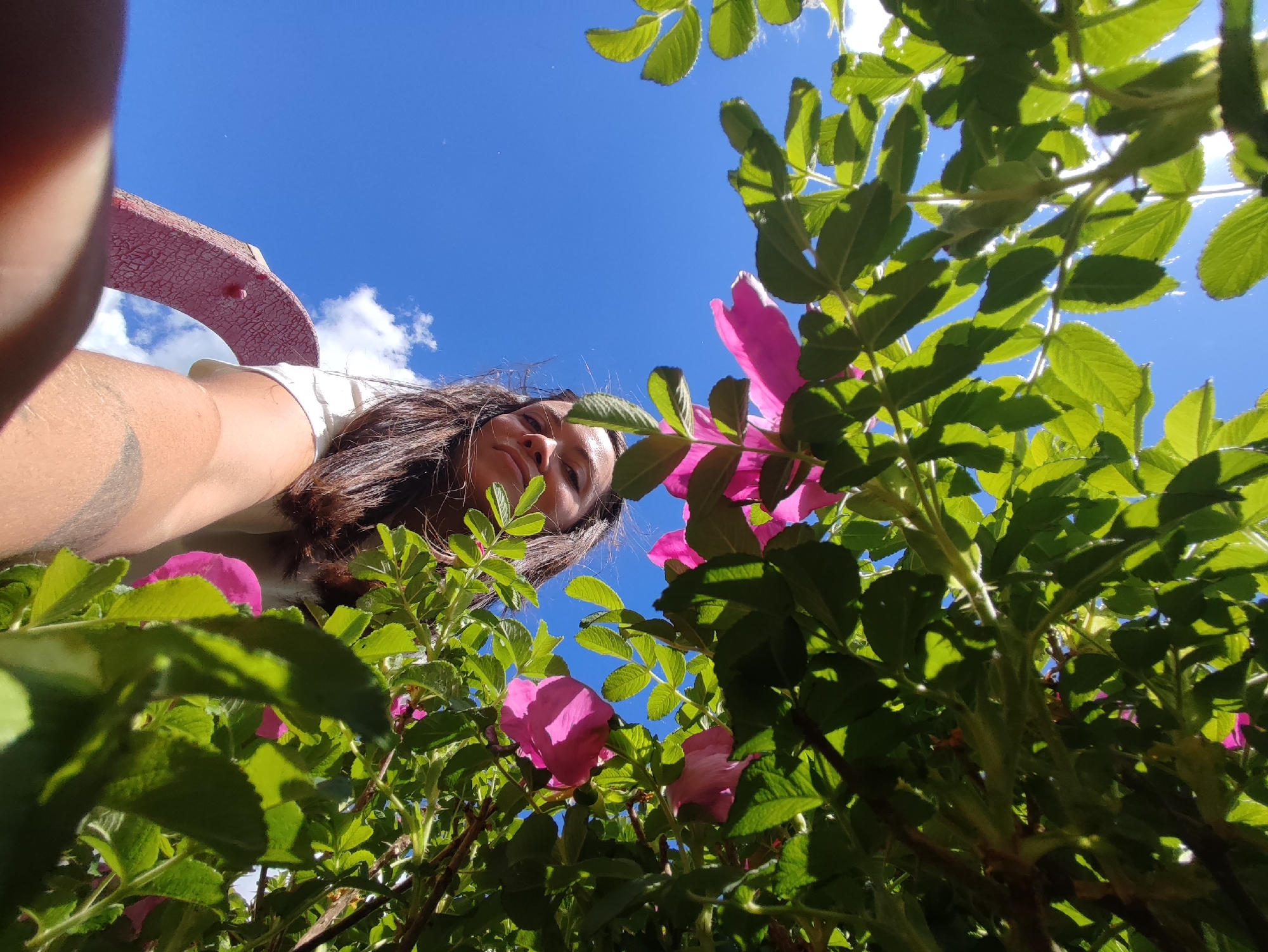 A low-angle photograph shows a woman with brown hair, a white shirt, and part of a pink hat. She is looking down at the camera through green foliage and pink flowers. The background features a bright blue sky with a few clouds. The location is Chaikovsky, Russia.