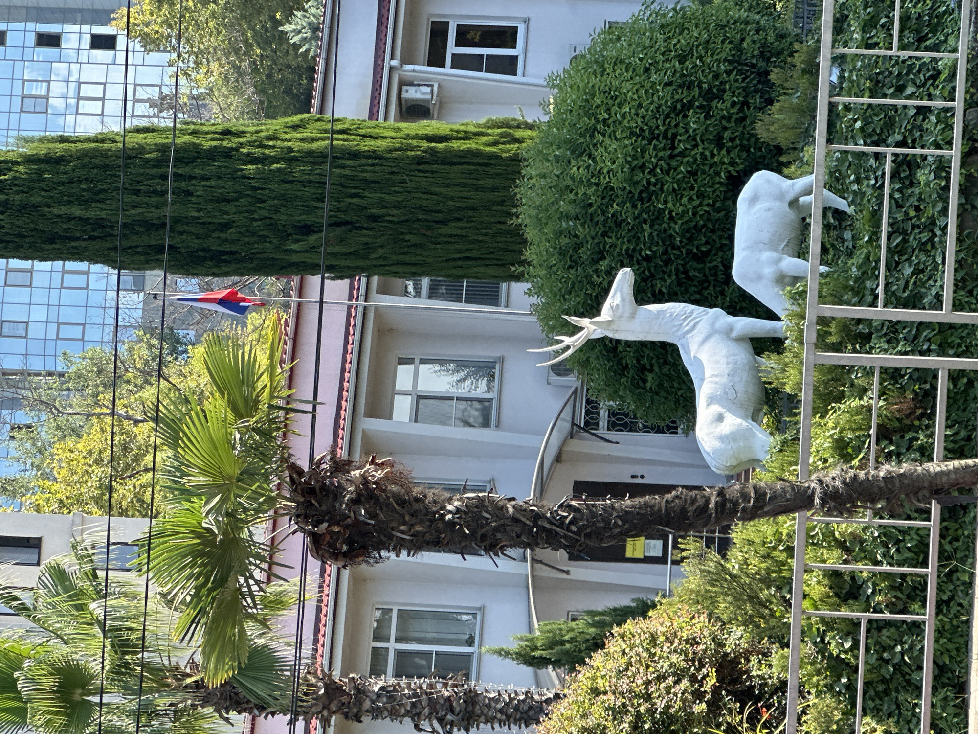 The image depicts the facade of a building with a pale pink and white color scheme, featuring multiple windows with white frames. In front of the building, there is lush green landscaping, including bushes and trees. Two white statues of deer, one standing with antlers and the other grazing, are positioned in the foreground amongst the greenery. A white metal fence runs across the bottom of the image. A tall, slender evergreen tree stands to the right of the building, and to the left, a palm tree is visible. A flagpole with the Russian flag is situated between the evergreen tree and the building. In the background, a modern glass-fronted building with reflective windows is visible. The scene appears to be set in an urban environment, likely during daylight hours, given the bright lighting and shadows. This building is likely the Russian International Olympic University (RIOU) in Sochi, Russia.
