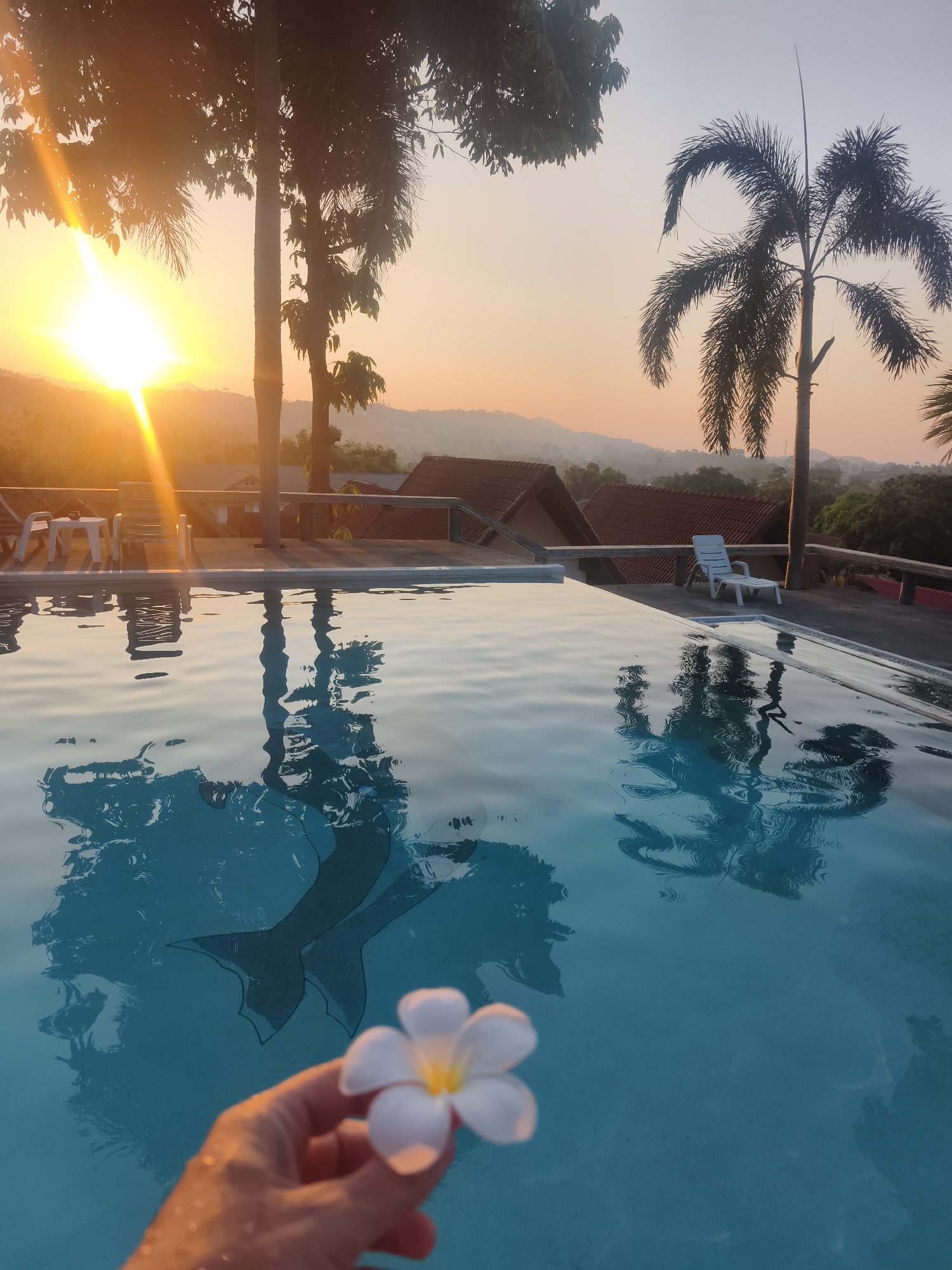 The image shows a hand holding a white plumeria flower in the foreground, with a swimming pool as the central element. Reflected in the pool's surface are trees and the setting sun, which indicates the time of day is likely sunset or sunrise. The tile design of two mermaid tails is visible at the bottom of the pool. Beyond the pool, the landscape reveals structures with red tiled roofs, foliage, and hills in the distance, suggesting a location in a warm, tropical area. The city is identified as บ้านบางรักษ์, Thailand. Two white chairs are visible on the terrace beyond the pool's edge. A solitary white plastic chair sits near the pool, further back. The overall environment indicates a peaceful and serene location, possibly a resort or private villa.
