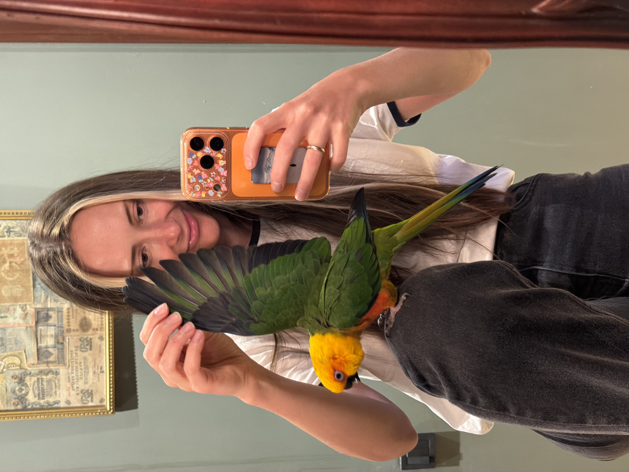 A mirror selfie taken indoors in Khimki, Russia, depicts a smiling woman with a colorful parrot. The woman, who has long, dark hair with lighter highlights, wears a white t-shirt and dark jeans. She holds an orange-cased iPhone adorned with multiple cartoon stickers (resembling Care Bears) in her right hand, on which she wears a simple gold ring.
Perched on her upper body, likely her shoulder or chest, is a vibrant Sun Conure parrot. The bird is distinguished by its bright yellow head, orange-red chest, and green body plumage, with blue-tipped tail feathers. One of its wings is partially extended, revealing the dark underside of its flight feathers.
The background reflected in the mirror shows a light green wall, accented by a reddish-brown wooden trim at the top. To the left, a framed art piece is visible, appearing to be a collage of old, possibly Russian, documents or currency, with faint Cyrillic script and numbers discernible. The setting suggests a casual, personal indoor environment, and the woman's smile conveys happiness or affection towards her pet.