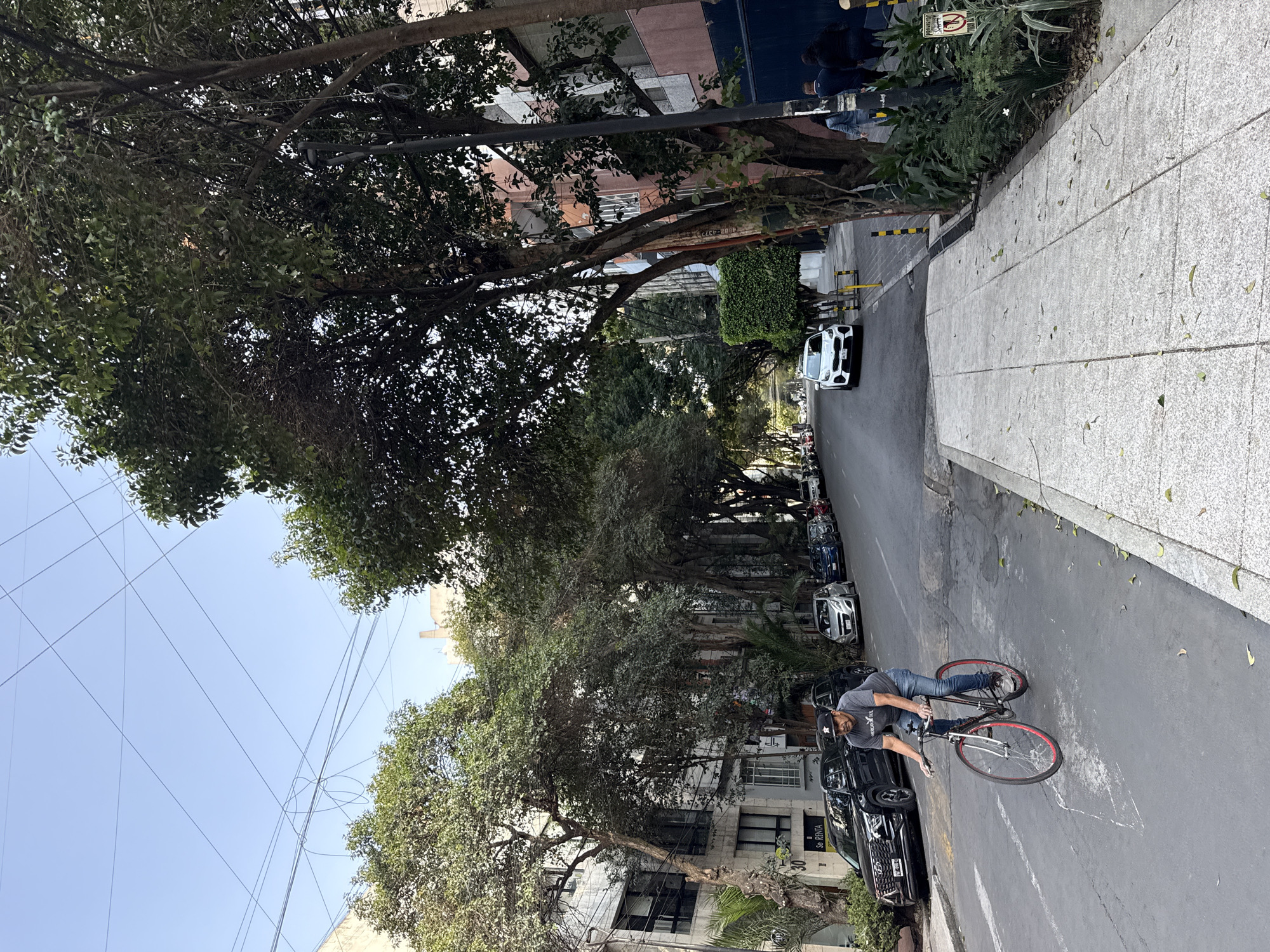 The image shows a street in Mexico City, Mexico, lined with trees and buildings. A man is riding a bicycle in the foreground. Cars are parked along the street, and there is a sidewalk on the right side of the frame. Overhead powerlines are visible against the sky.