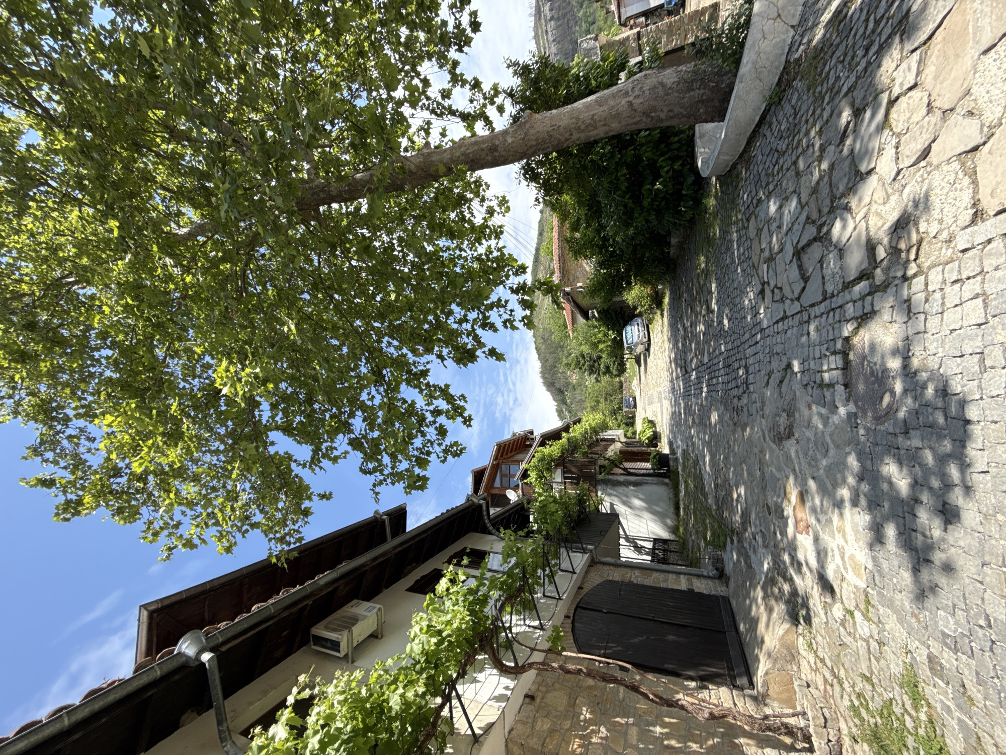 Captured at an extreme angle, the image depicts a quaint street in Veliko Tarnovo, Bulgaria. The foreground features a cobblestone road, partially shaded by a large tree whose leafy canopy dominates the upper left portion of the frame. To the left, a white building with a brown-tiled roof is visible. A vine with green leaves climbs along its walls, near an air conditioning unit. The street leads upwards, and in the distance, other buildings are visible, with glimpses of a mountain in the background. The sky is blue with scattered clouds.