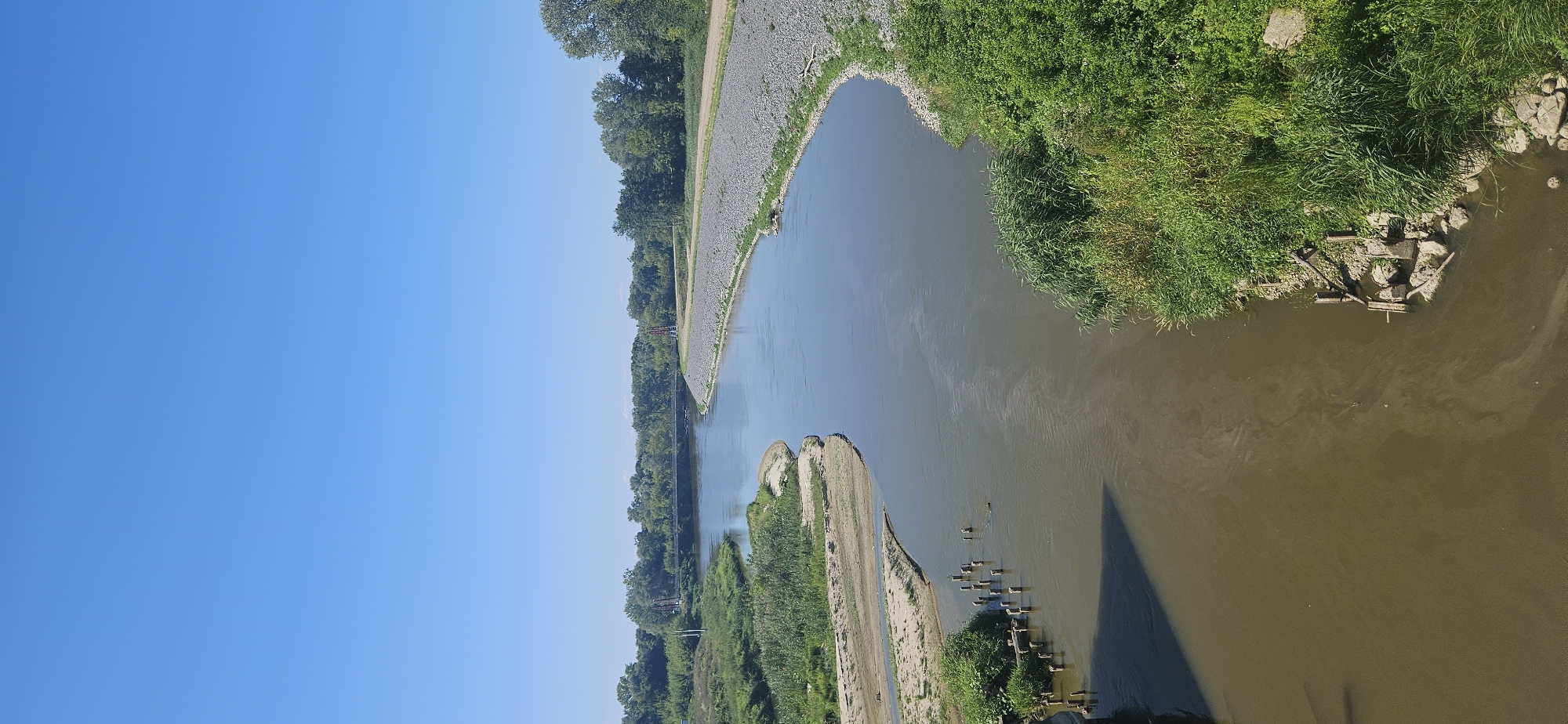 The image depicts a wide, calm river flowing through a landscape with lush green vegetation on both banks. The sky is a clear, vibrant blue, indicating a sunny day. On the right bank, a pathway is visible, bordered by a dense layer of grey gravel, which then transitions into a line of trees. The left bank is characterized by sandy areas and more vegetation, including reeds and grasses. In the foreground, several wooden pilings are submerged in the river. In the distance, a bridge crosses the river, with what appear to be ornamental red structures at either end. The scene is peaceful and natural, with no people visible. This image was captured in Terespol, Poland, specifically on the Bug River.