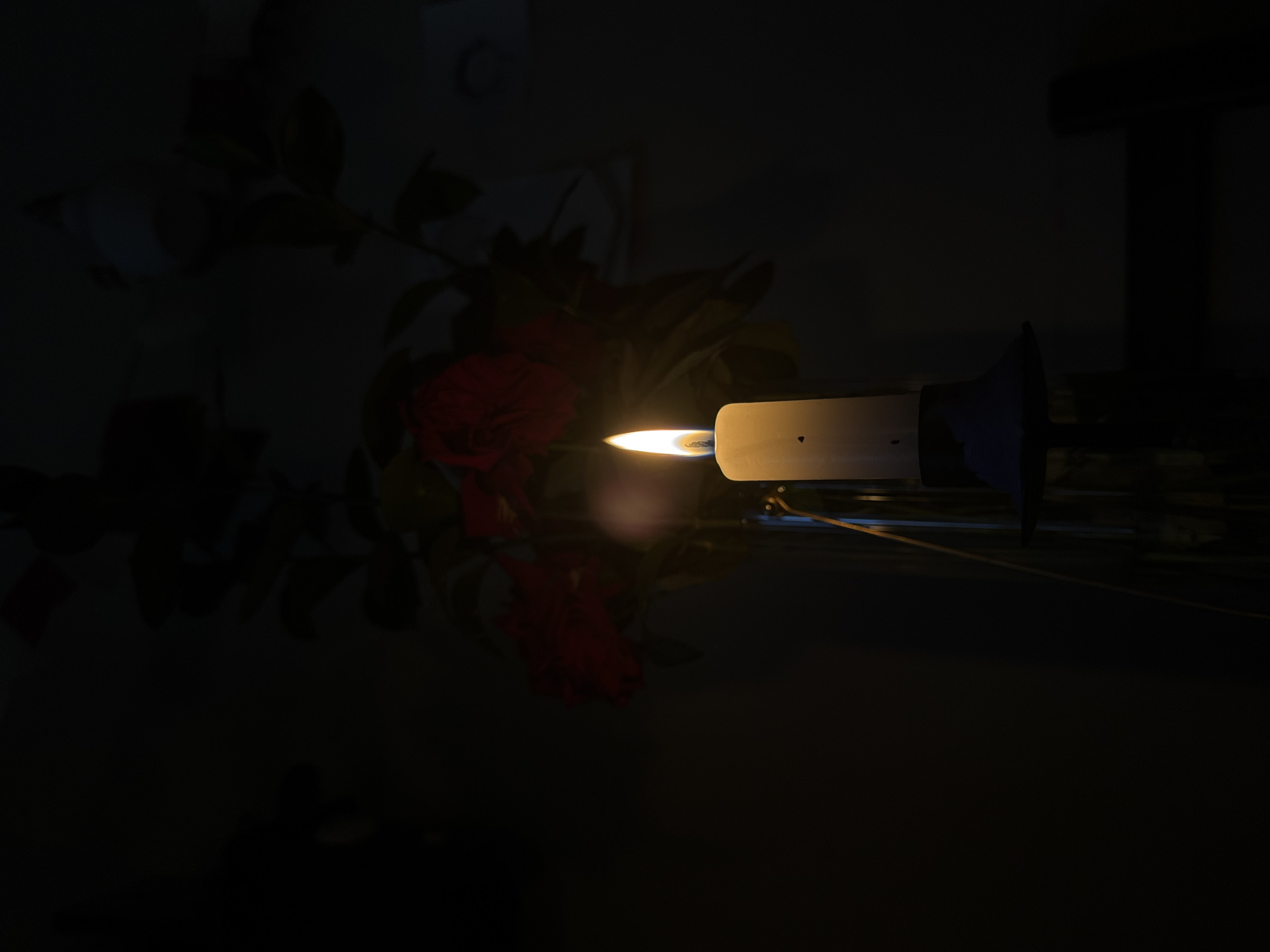 A lit candle, predominantly white with a blue base, is positioned horizontally in the center of the frame. The flame is a bright yellow-orange. Behind the candle, there's a blurry arrangement of green leaves and red flowers, suggesting a floral arrangement. The background is dark and indistinct. A thin, light-colored line or wire extends horizontally from the base of the candle. A blurred, dark, vertical shape is visible in the upper right corner. The lighting suggests a low-light or dark environment, with the candle flame being the primary light source. The location is not identifiable as Moscow, Russia.