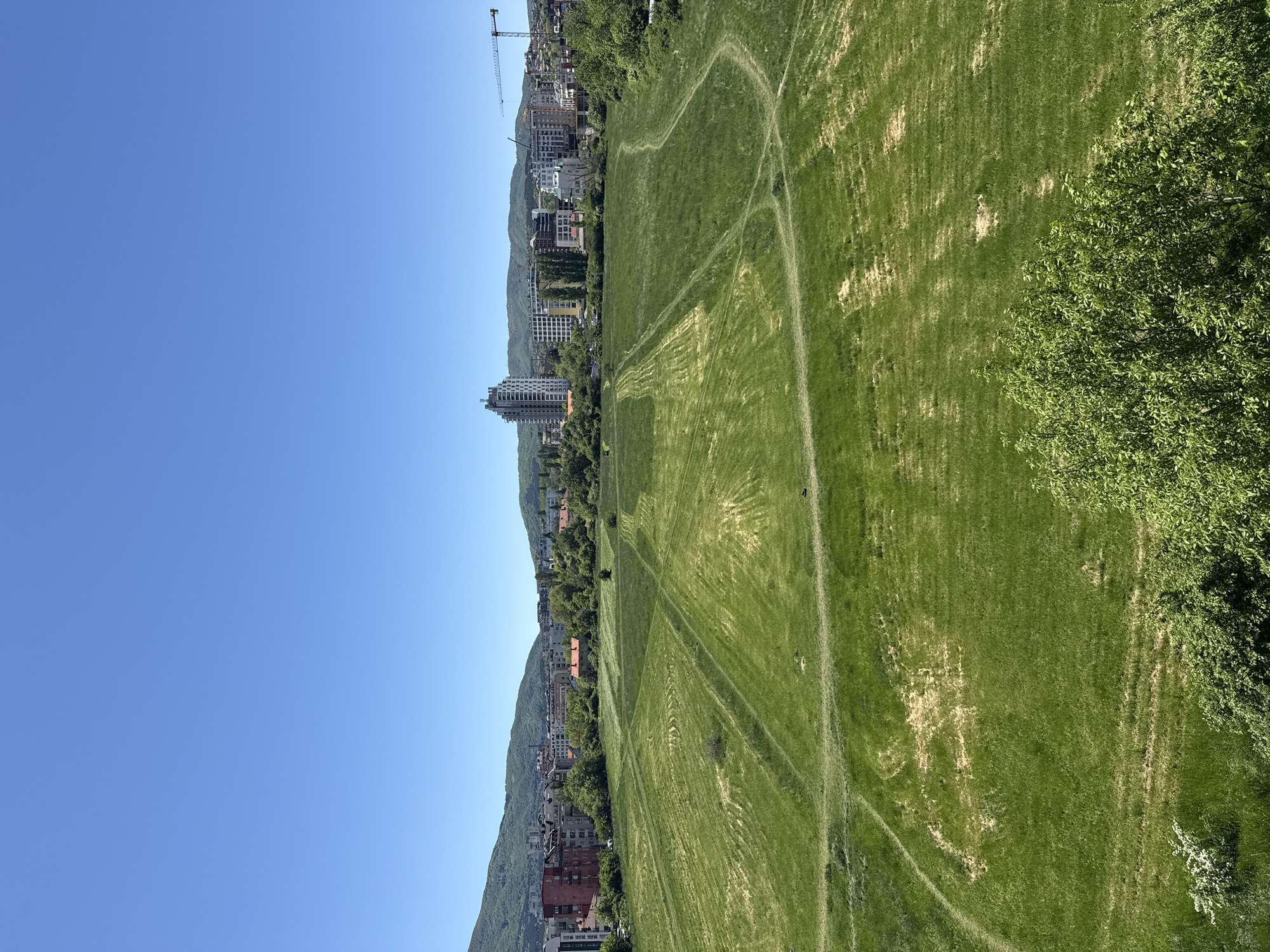 The image shows a large, green field with multiple dirt paths worn into the grass, located in the city of Sofia, Bulgaria. In the background is a line of buildings, including a taller modern skyscraper and a construction crane. Beyond the buildings, a mountain range is visible. The sky is clear and blue. A section of trees and bushes borders the field on the right side.