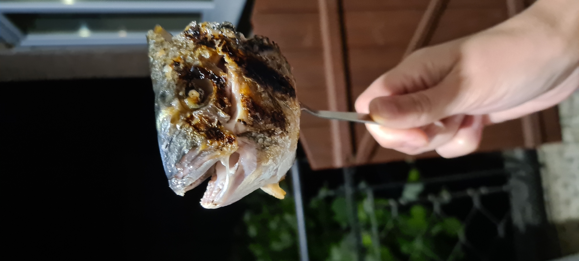 A cooked fish head, likely from a mackerel, is centrally positioned on a metal eating fork, held by a human hand, observed outdoors at night in Lopian, Bulgaria. The fish head displays significant charring and browning, indicative of grilling or frying, particularly around the eye socket and gill plates. Its mouth is agape, revealing small teeth and internal oral structures. The eye is visible and appears cooked. The fork, silver-colored, is inserted into the underside of the head. The hand, with light skin tone, grasps the fork handle in the lower-right quadrant of the frame. The background is dark and out of focus, consistent with nighttime illumination primarily on the foreground subject. To the left, blurred green foliage and a dark horizontal structure (possibly a railing) are discernible. To the right, a vertical light-colored window or doorframe is visible, alongside a brown wooden panel or fence.